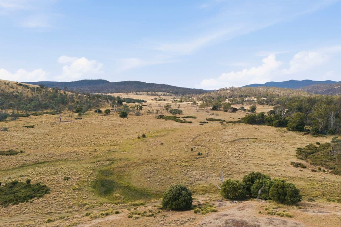 411 Bryants Lane, DEDDINGTON, TAS 7212, Deddington - Thumbnail 3