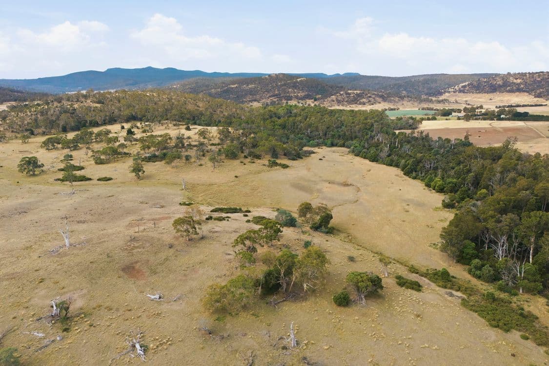 411 Bryants Lane, DEDDINGTON, TAS 7212, Deddington - Thumbnail 4