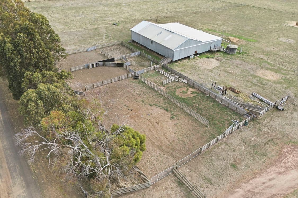 411 Bryants Lane, DEDDINGTON, TAS 7212, Deddington - Thumbnail 5
