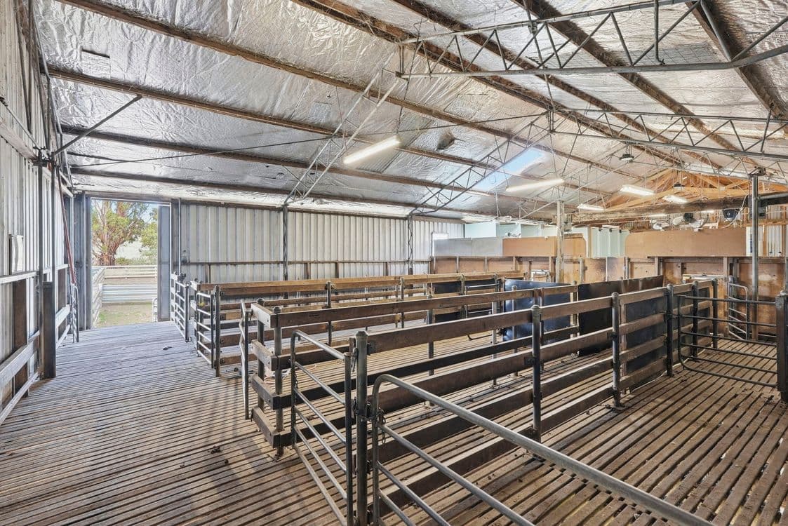 411 Bryants Lane, DEDDINGTON, TAS 7212, Deddington - Thumbnail 7