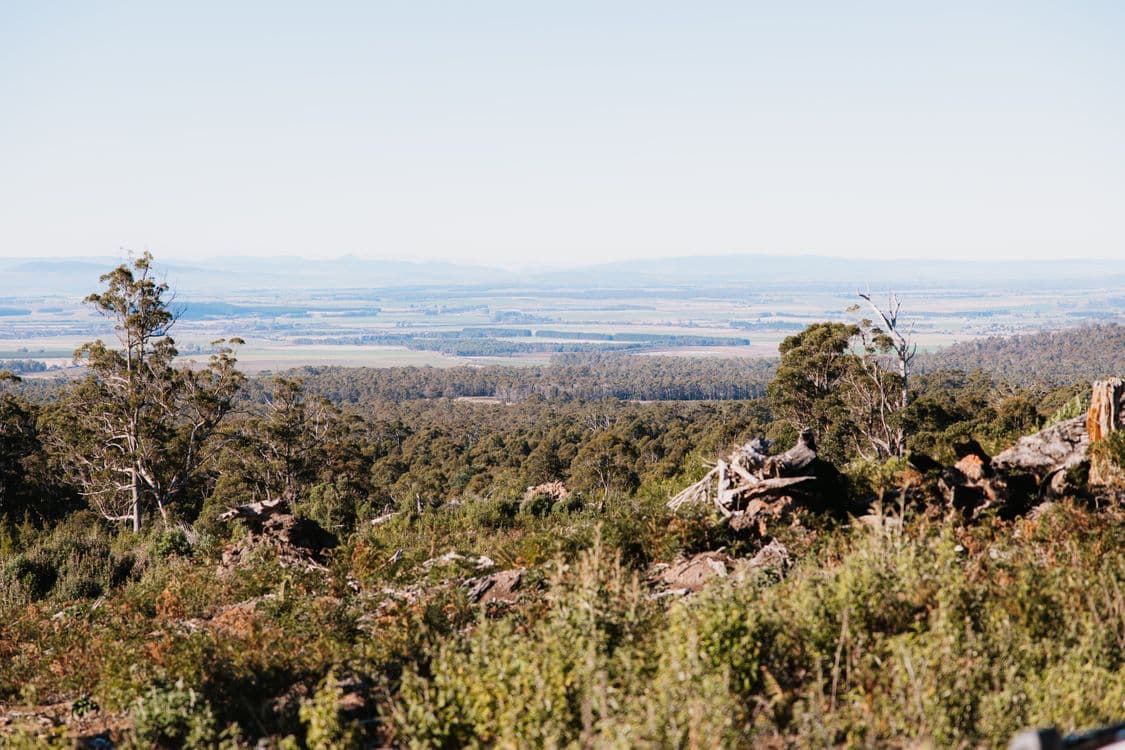 PID 6753927 Hop Valley Road, BLACKWOOD CREEK, TAS 7301, Blackwood Creek - Image 1