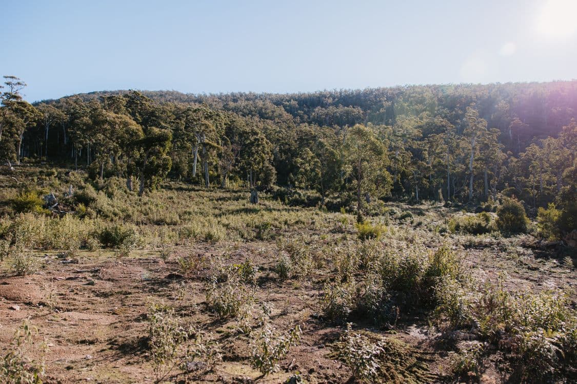 PID 6753927 Hop Valley Road, BLACKWOOD CREEK, TAS 7301, Blackwood Creek - Thumbnail 3