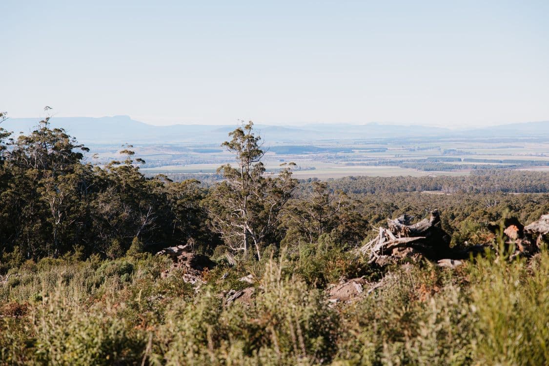 PID 6753927 Hop Valley Road, BLACKWOOD CREEK, TAS 7301, Blackwood Creek - Thumbnail 7