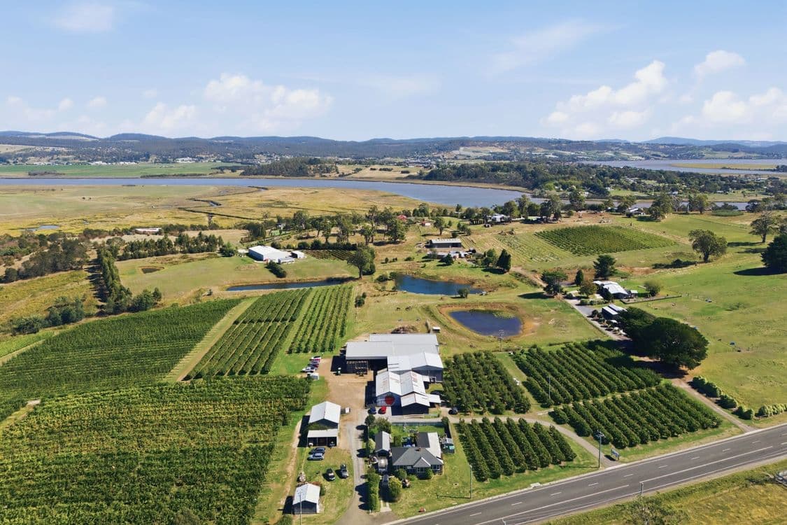 161 John Lees Drive, DILSTON, TAS 7252, Dilston - Image 1
