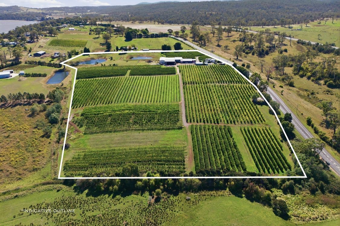 161 John Lees Drive, DILSTON, TAS 7252, Dilston - Thumbnail 2