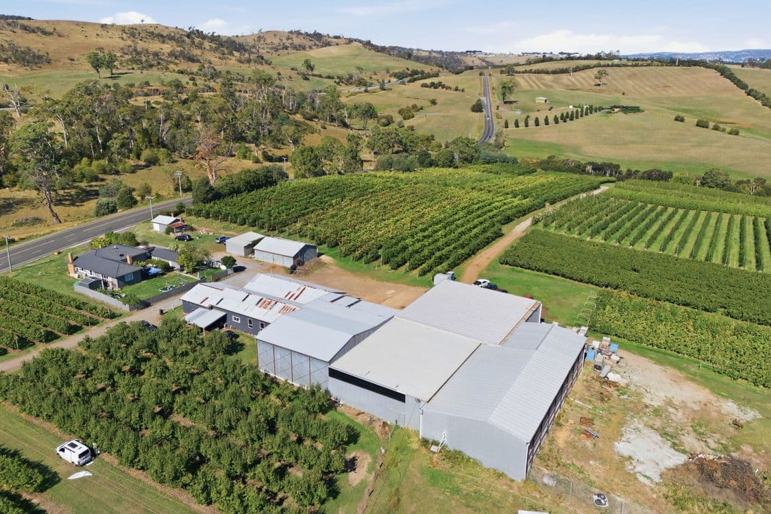 161 John Lees Drive, DILSTON, TAS 7252, Dilston - Thumbnail 3