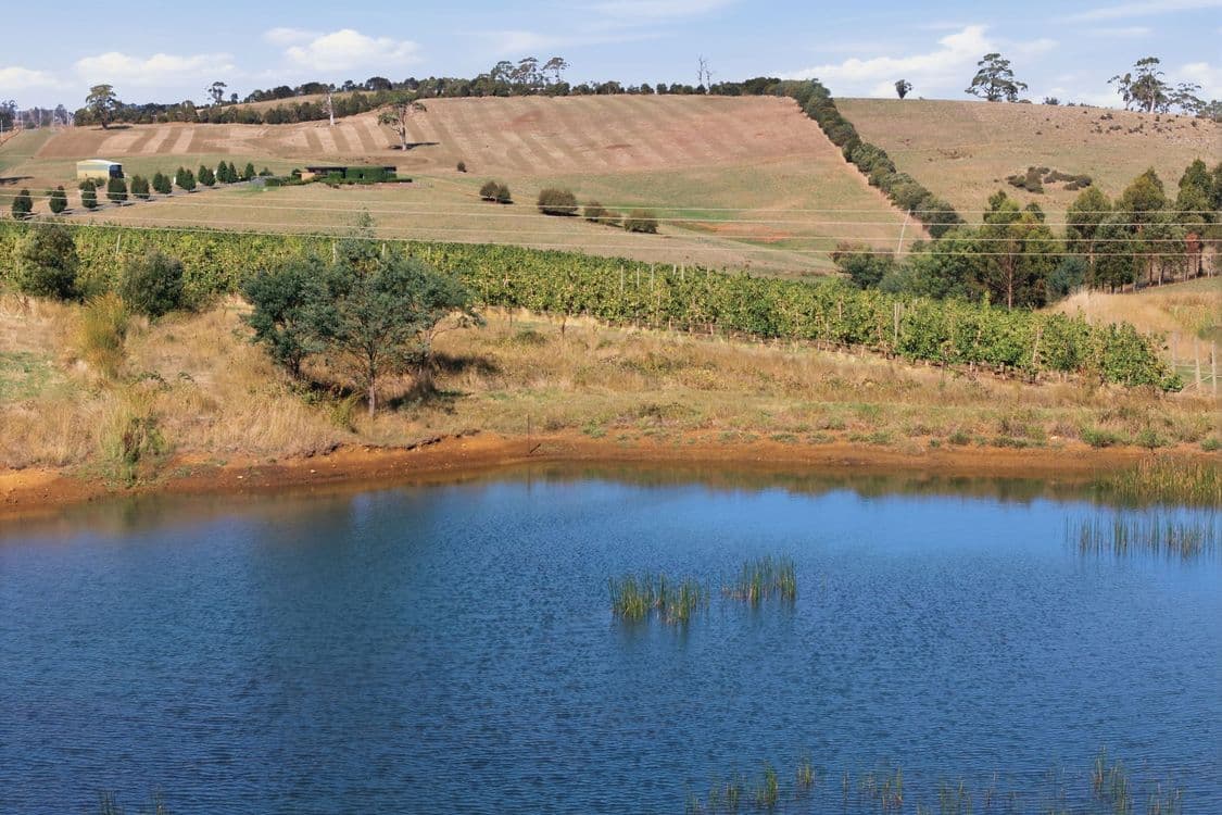 161 John Lees Drive, DILSTON, TAS 7252, Dilston - Thumbnail 7