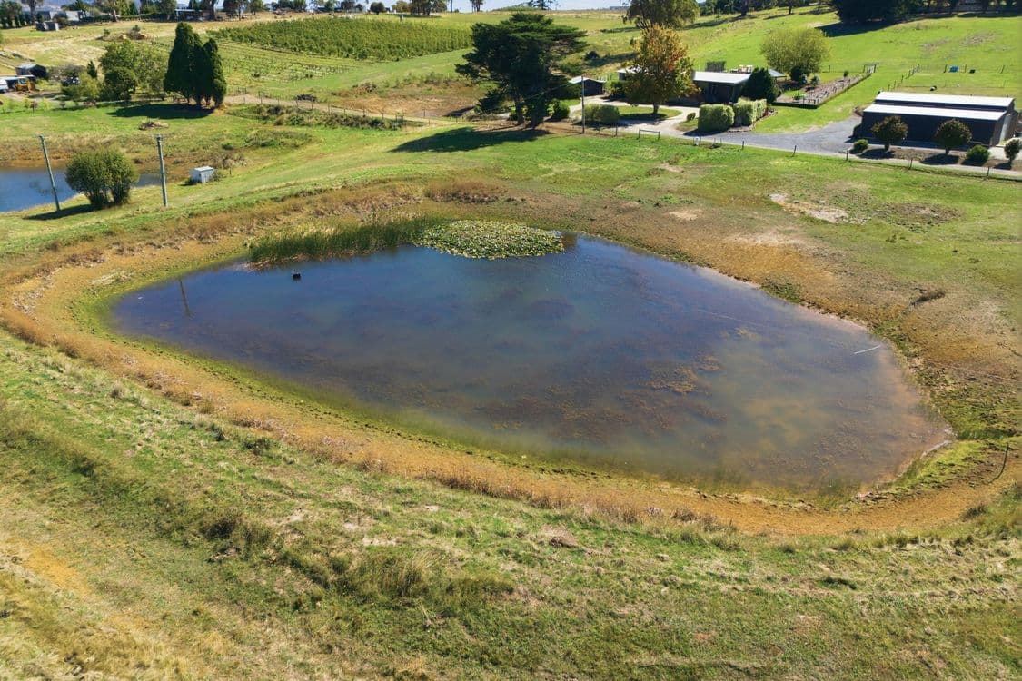 161 John Lees Drive, DILSTON, TAS 7252, Dilston - Thumbnail 8