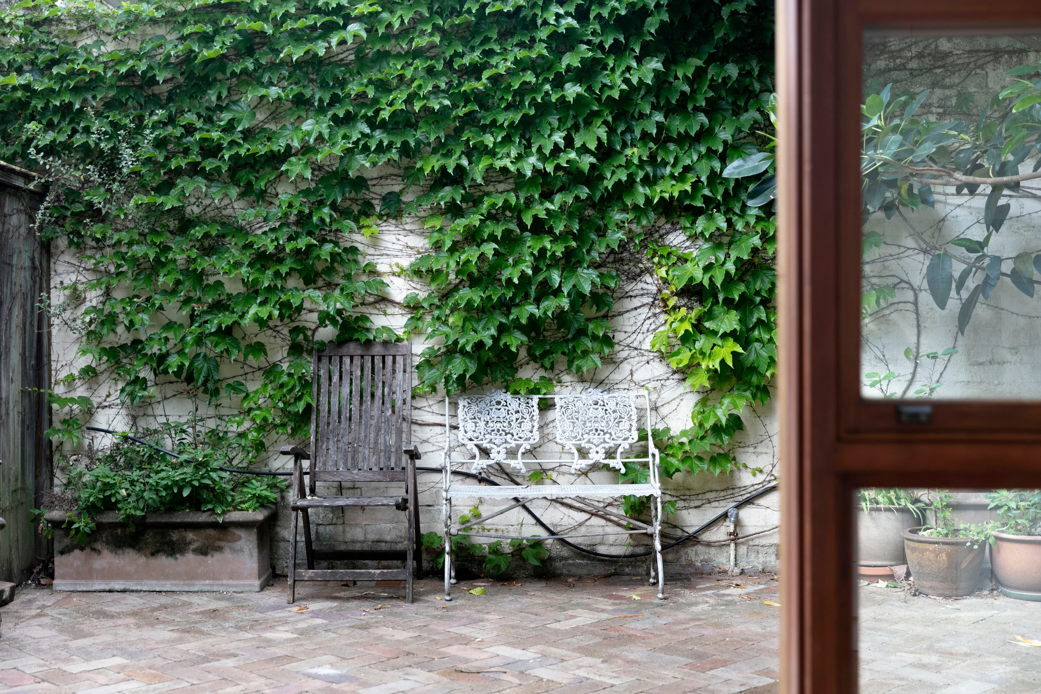 31 Wortley Street, Balmain - Thumbnail 6