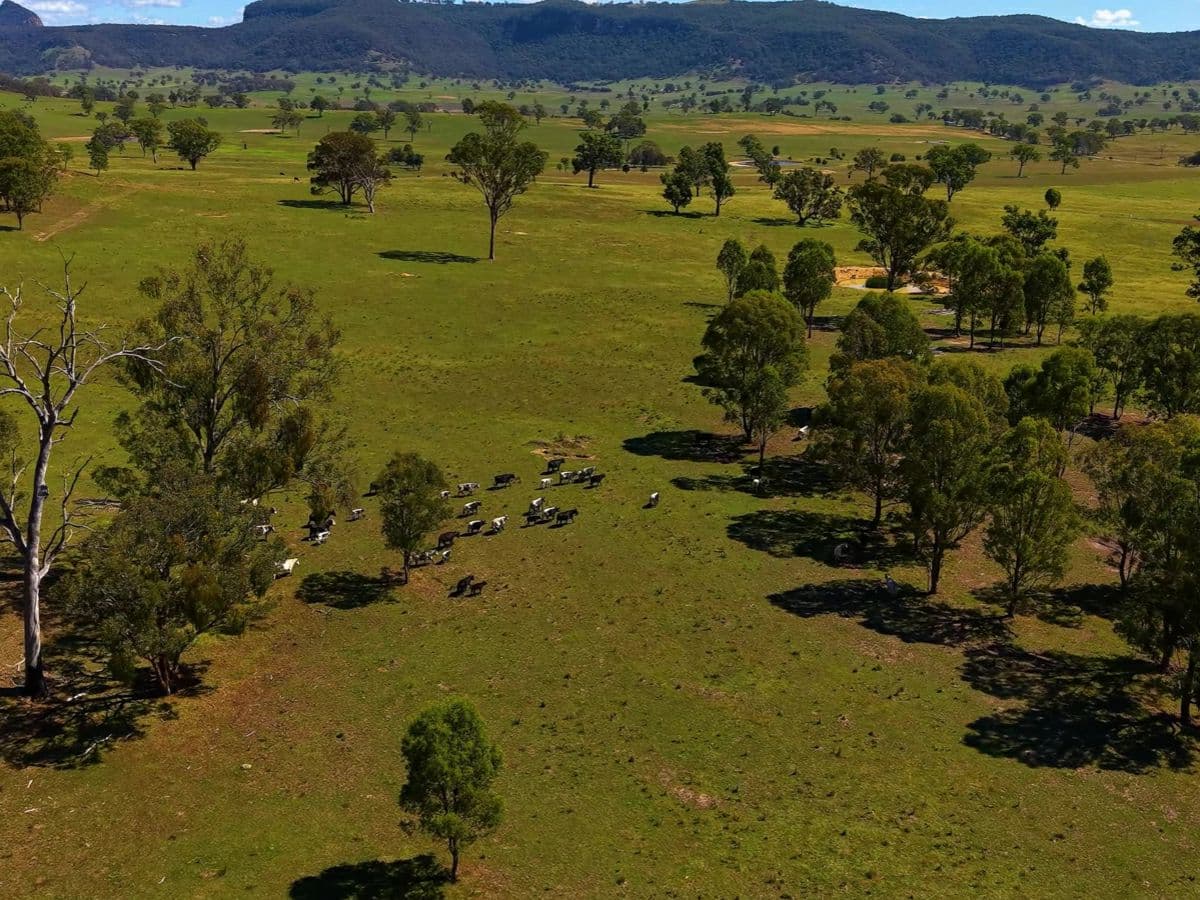 214 Bowles Lane, RYLSTONE, Dabee - Thumbnail 5