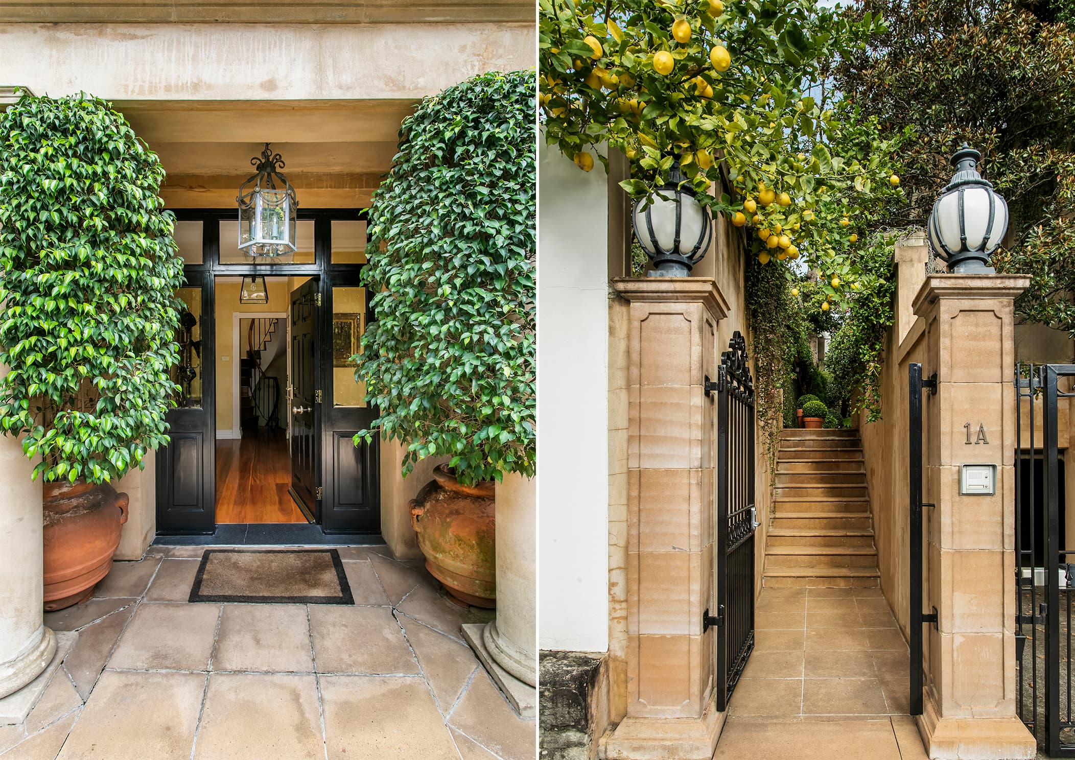1A Tara Street, Woollahra - Thumbnail 3