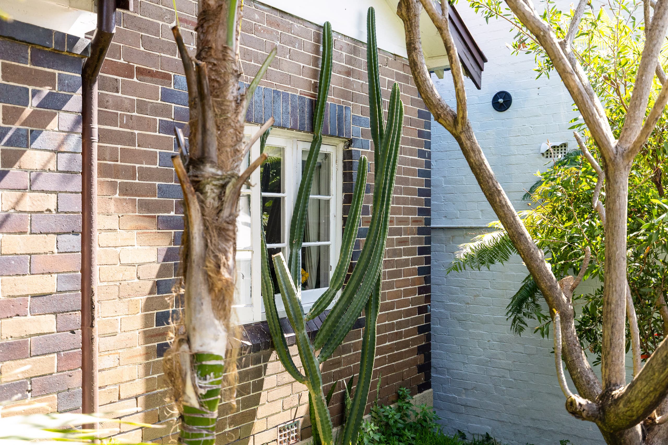 20 Oxford Street, Rozelle - Thumbnail 3