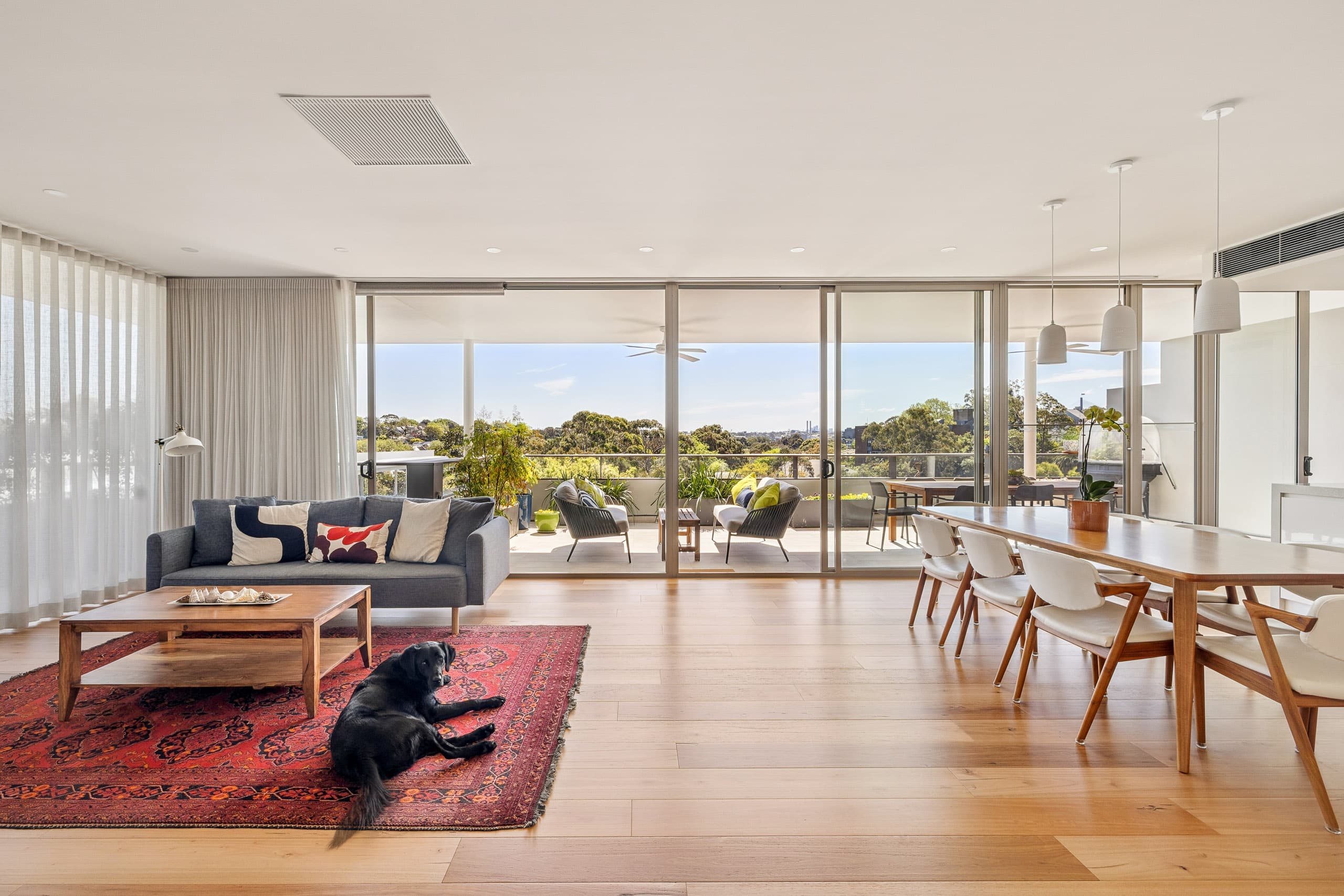 4501/6 Alexandra Drive, Camperdown - Image 1