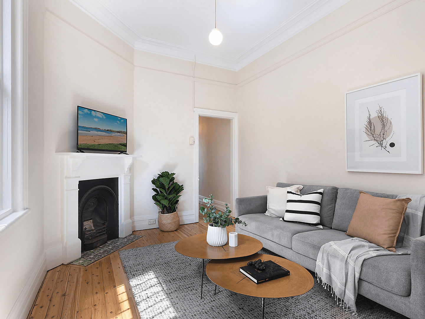 17 Ryan Street, Lilyfield - Thumbnail 2