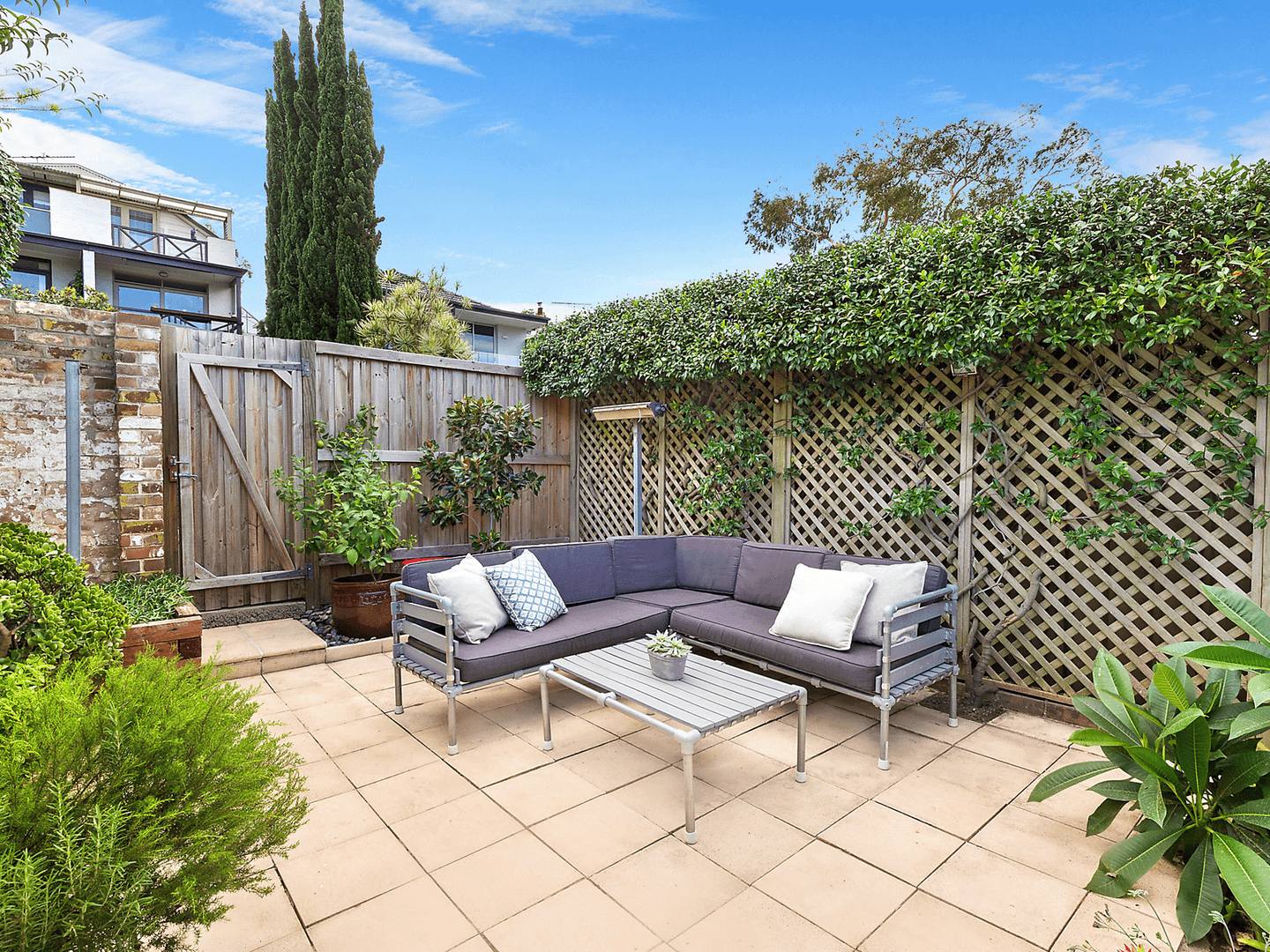 17 Ryan Street, Lilyfield - Thumbnail 6