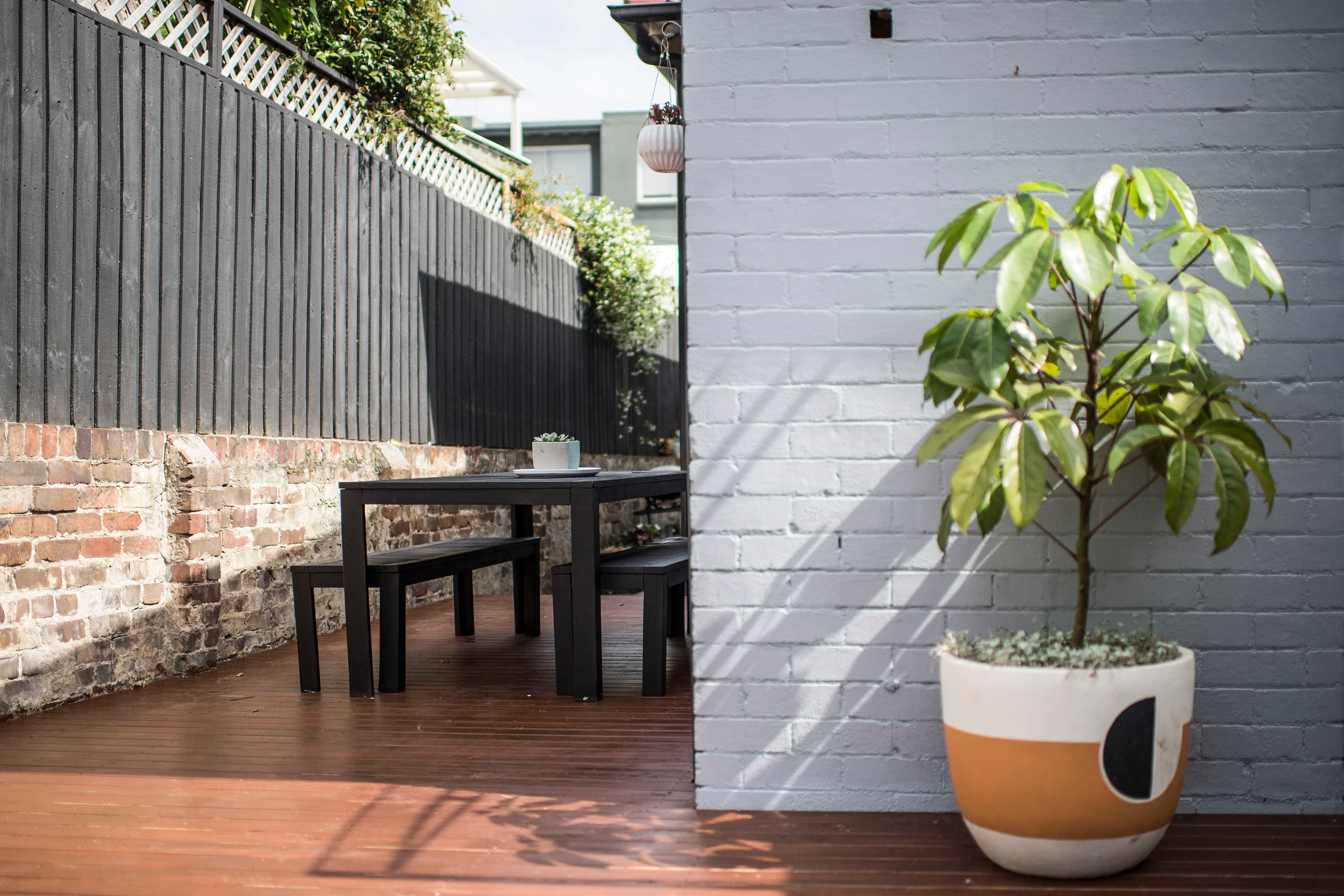 8 Albert Street, Rozelle - Thumbnail 3