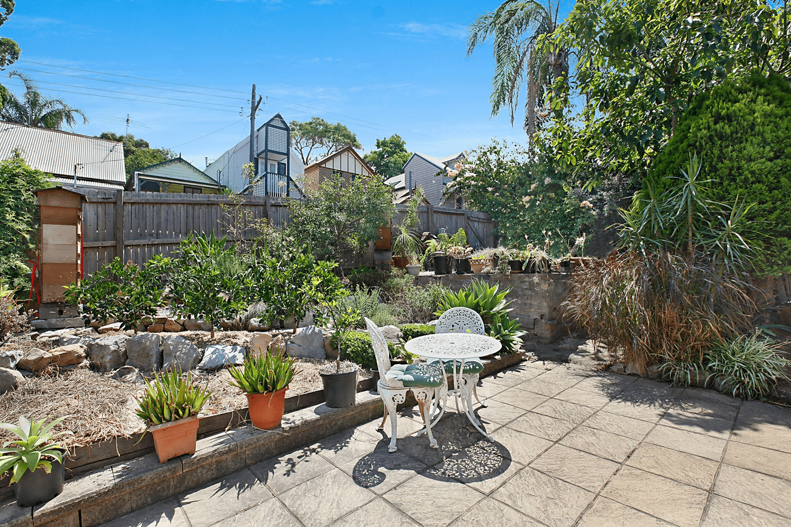 15 Denison Street, Rozelle - Thumbnail 2