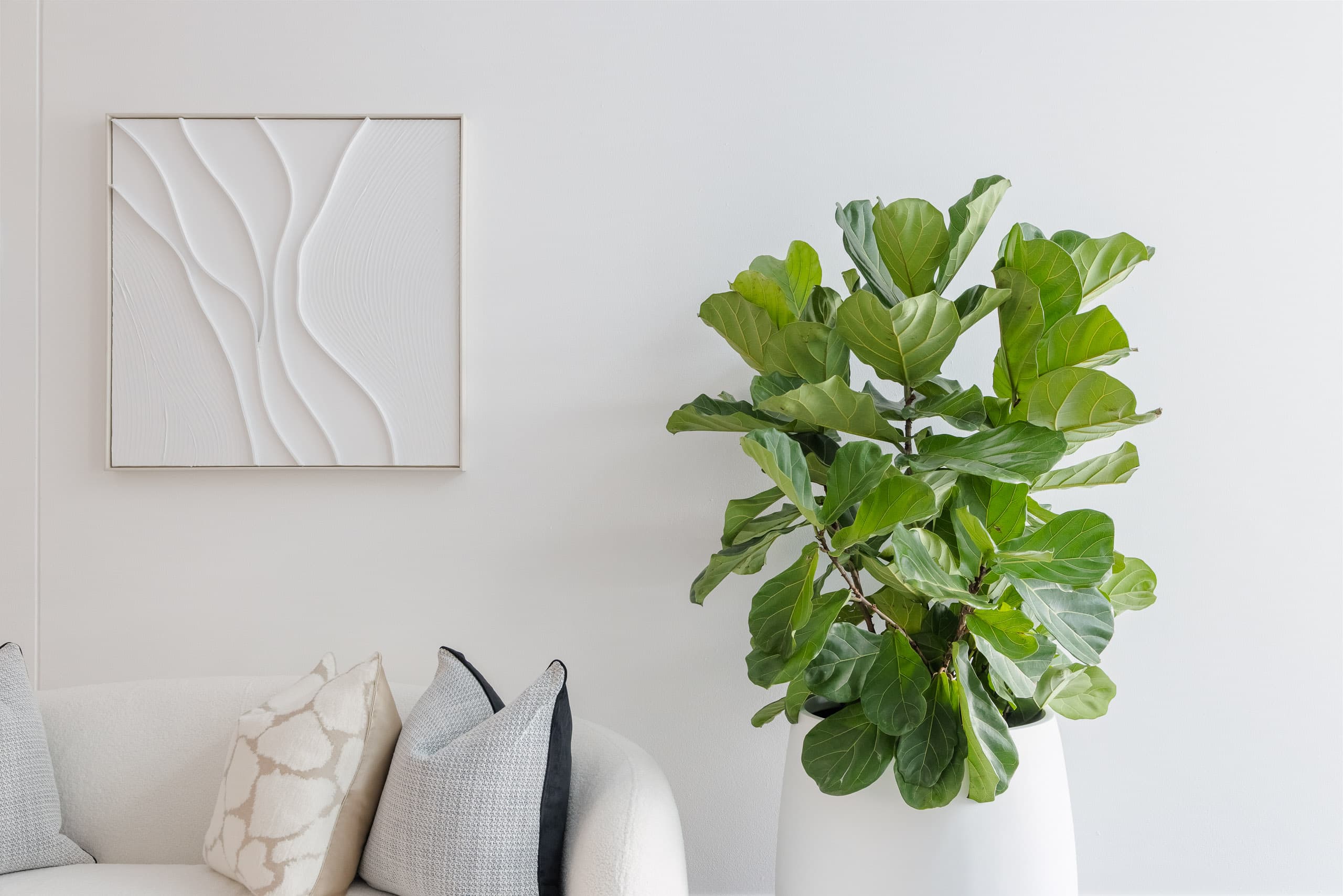 77 Arthur Street, Surry Hills - Thumbnail 4