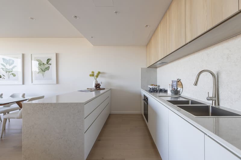 301/10 Monash Road, Gladesville - Image 1