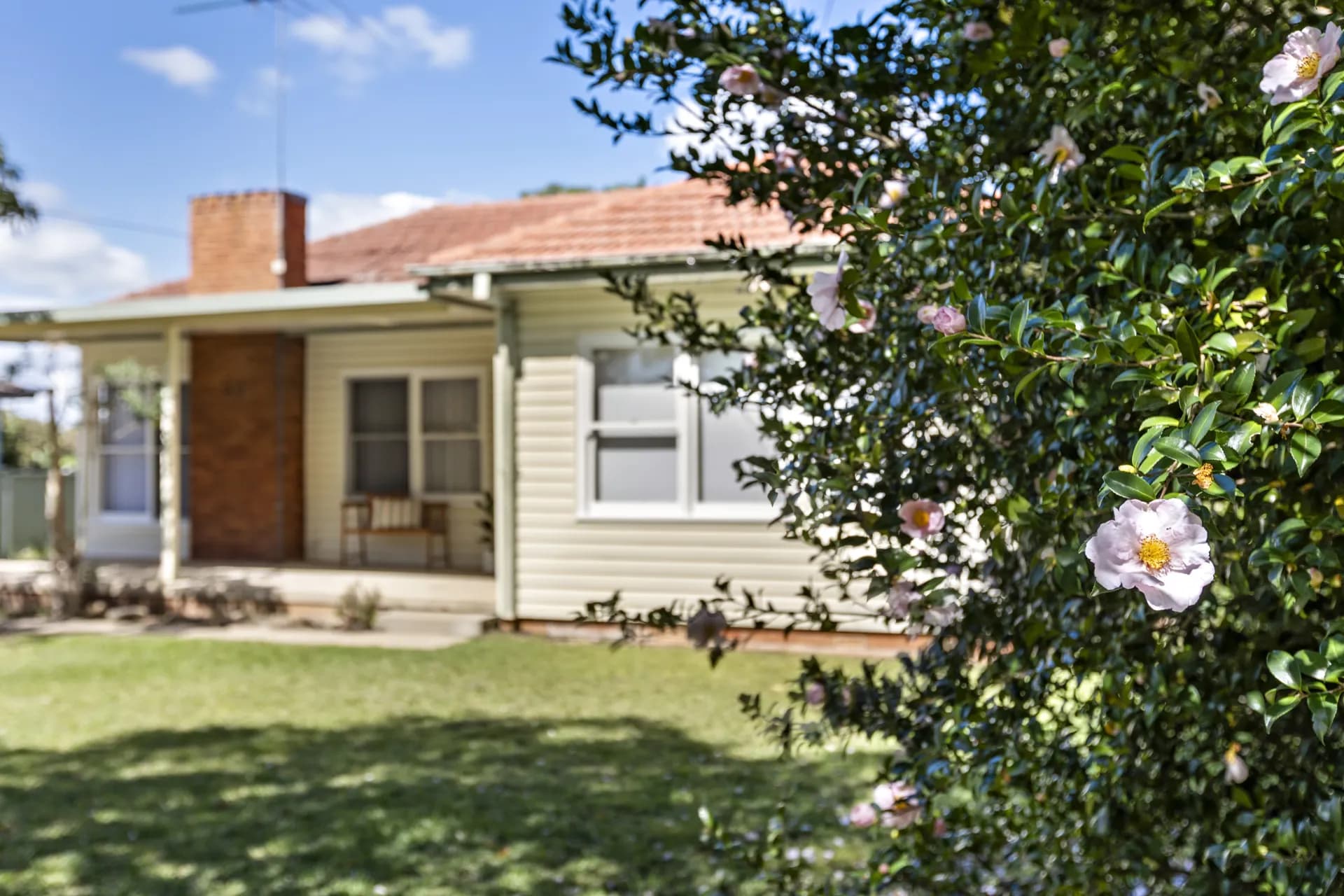 22 Coughlan Road, Blaxland, NSW, Blaxland - Image 1