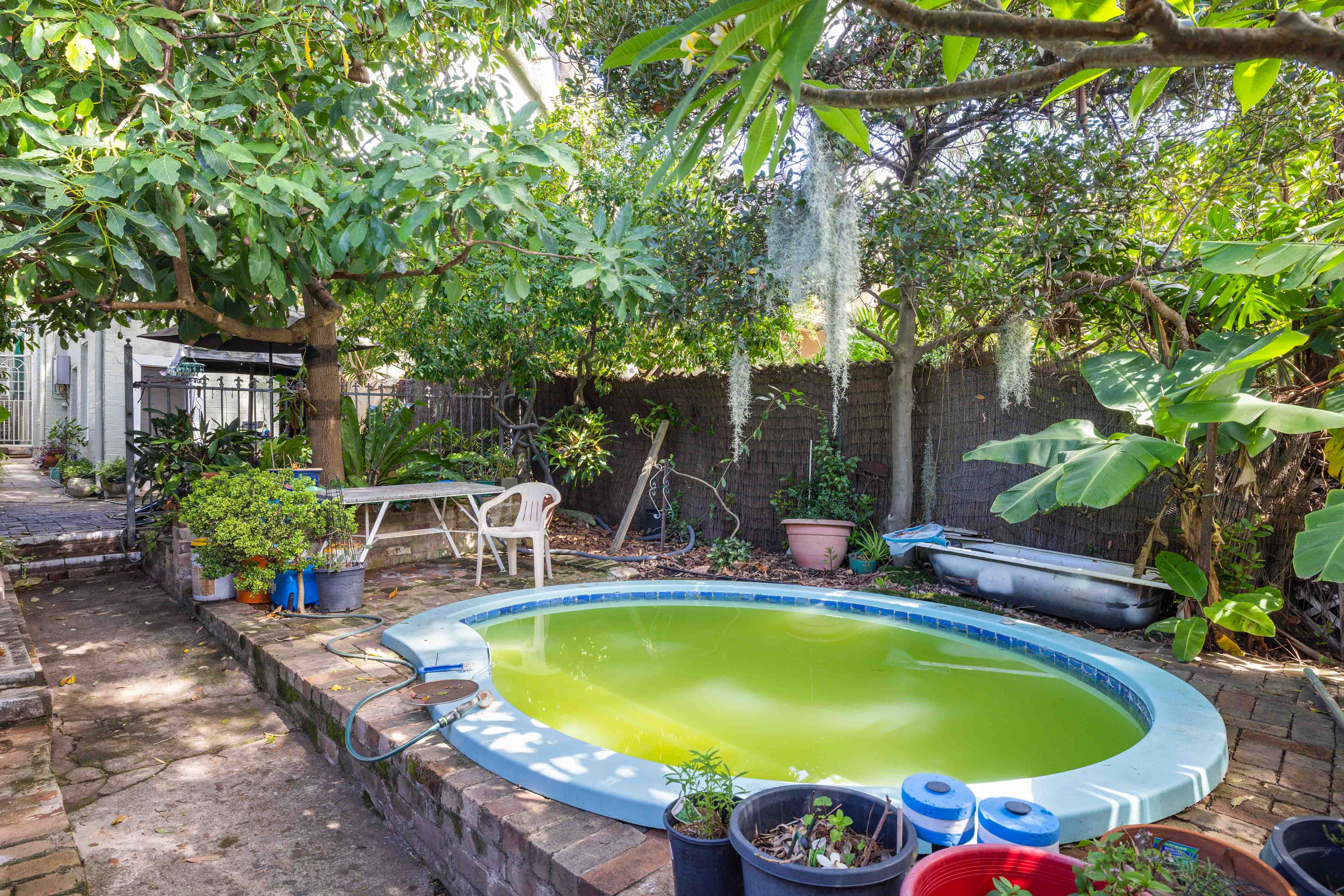 457 Darling Street, Balmain - Thumbnail 6