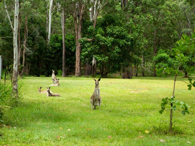 45 Greys Lane, Ravenshoe, Ravenshoe - Image 1