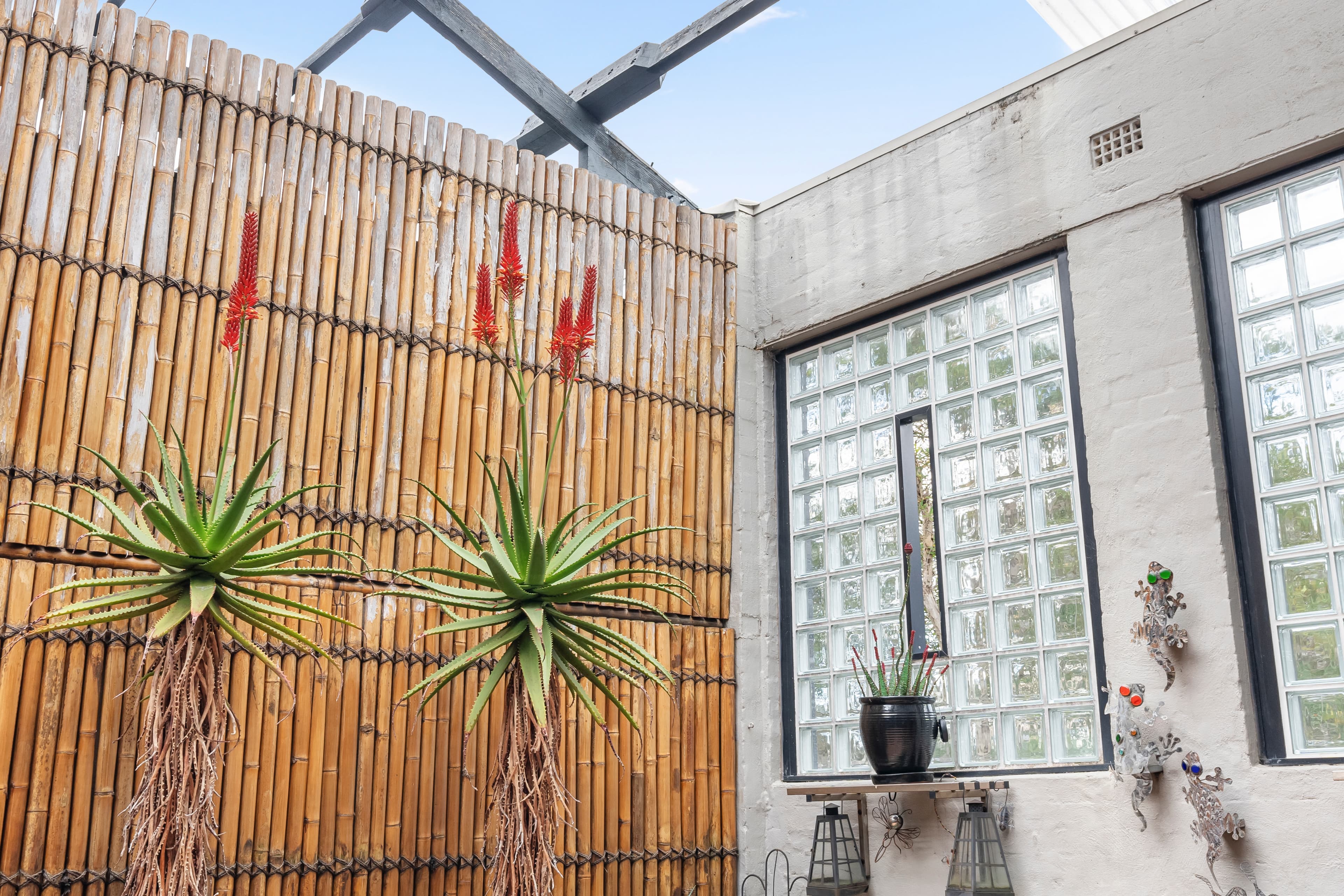 57B Albert Street, Leichhardt - Thumbnail 7