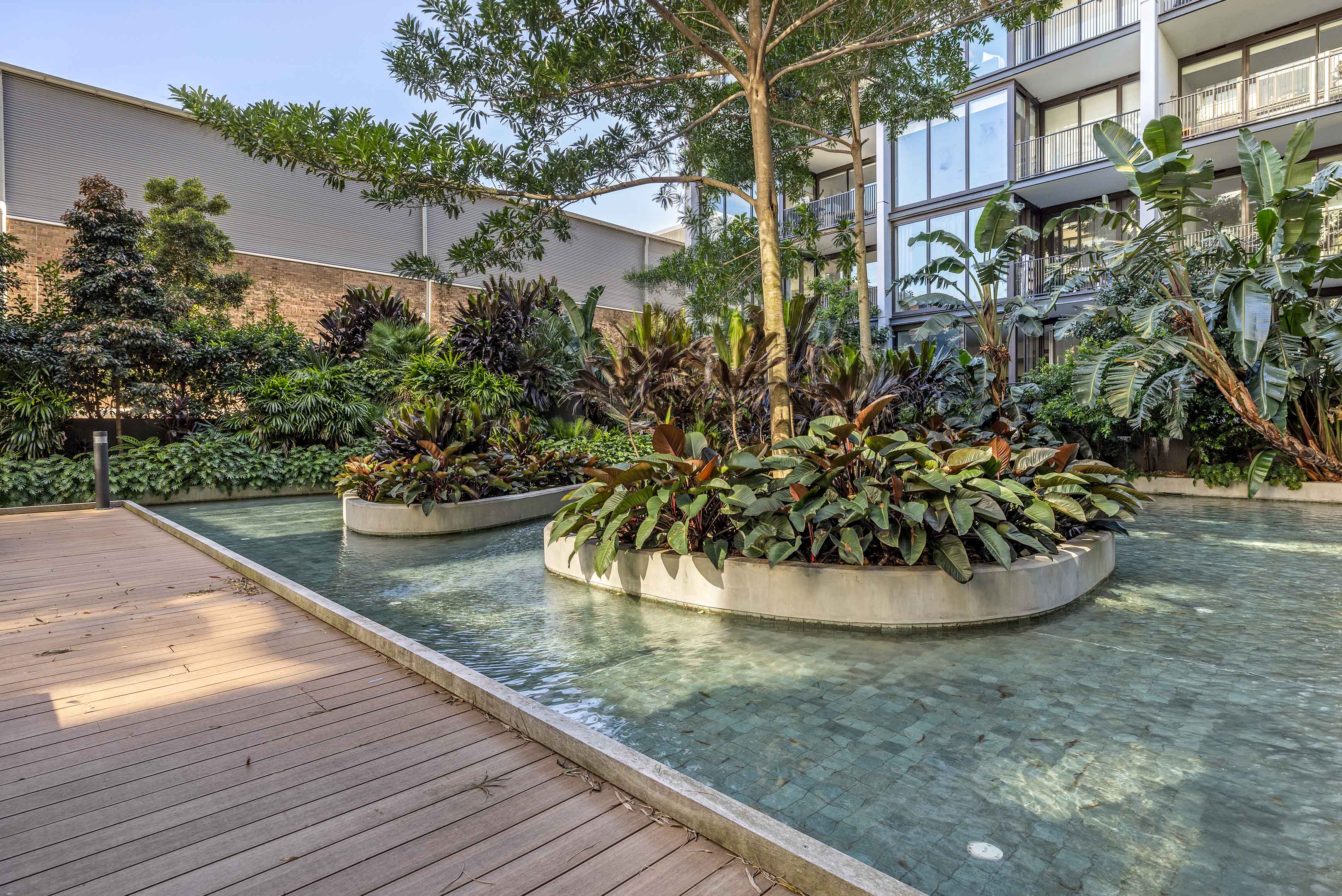 202/19 Dunkerley Place, Waterloo - Thumbnail 7