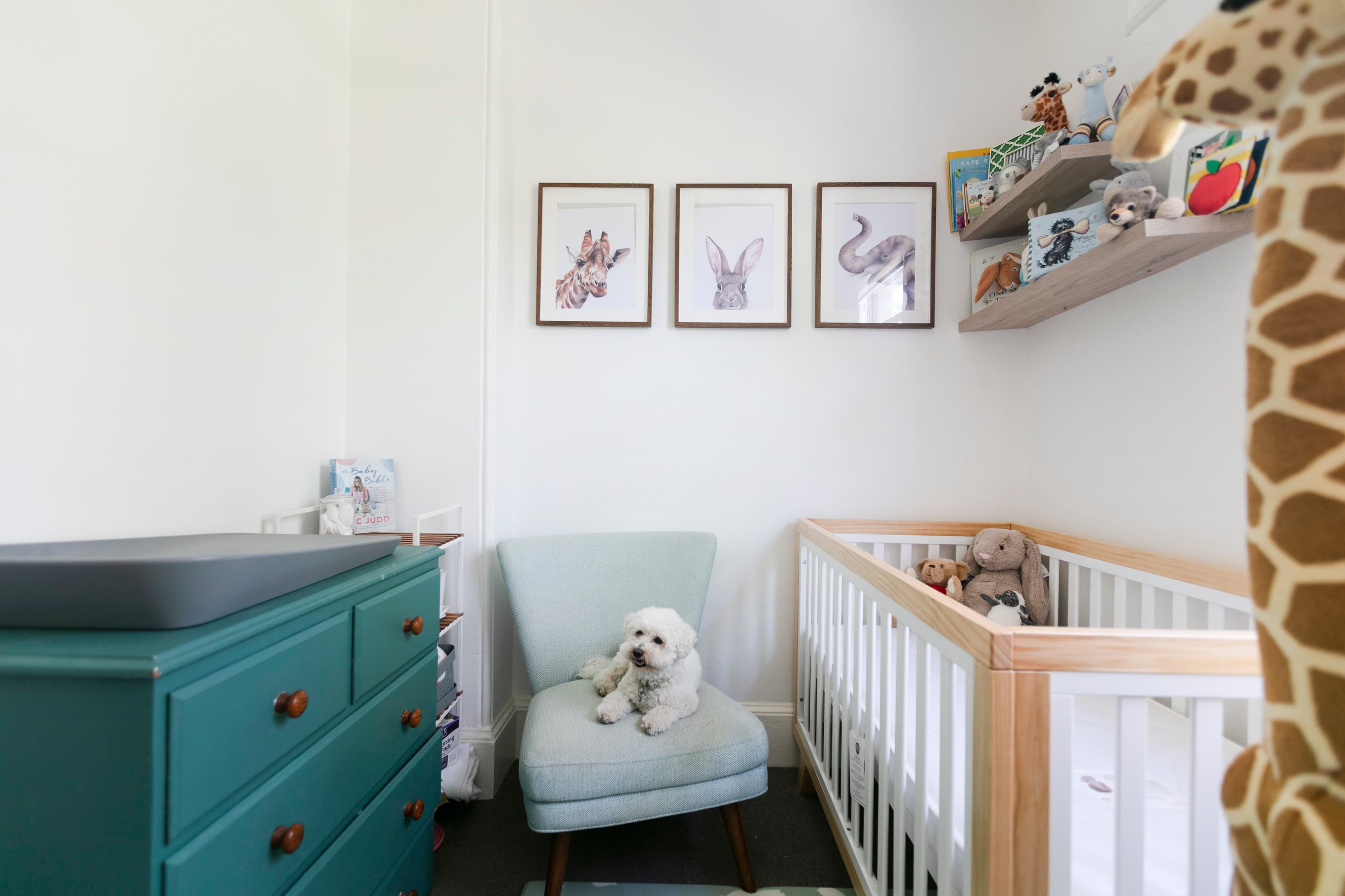 232 St Johns Road, Forest Lodge - Thumbnail 8