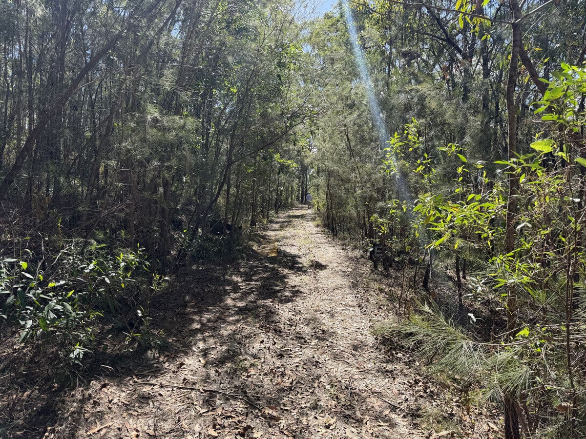 Lot 2034 Coonamble Crescent, North Arm Cove NSW 2324, North Arm Cove - Thumbnail 5