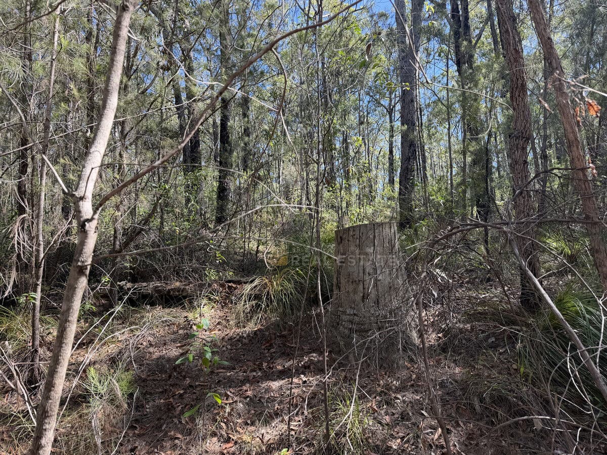 Lot 2034 Coonamble Crescent, North Arm Cove NSW 2324, North Arm Cove - Thumbnail 6