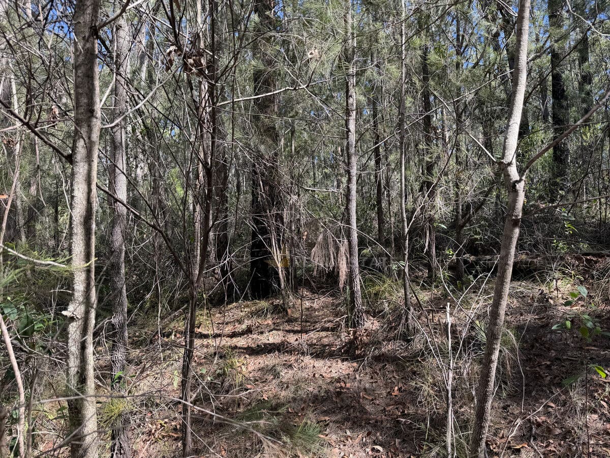 Lot 2034 Coonamble Crescent, North Arm Cove NSW 2324, North Arm Cove - Thumbnail 7