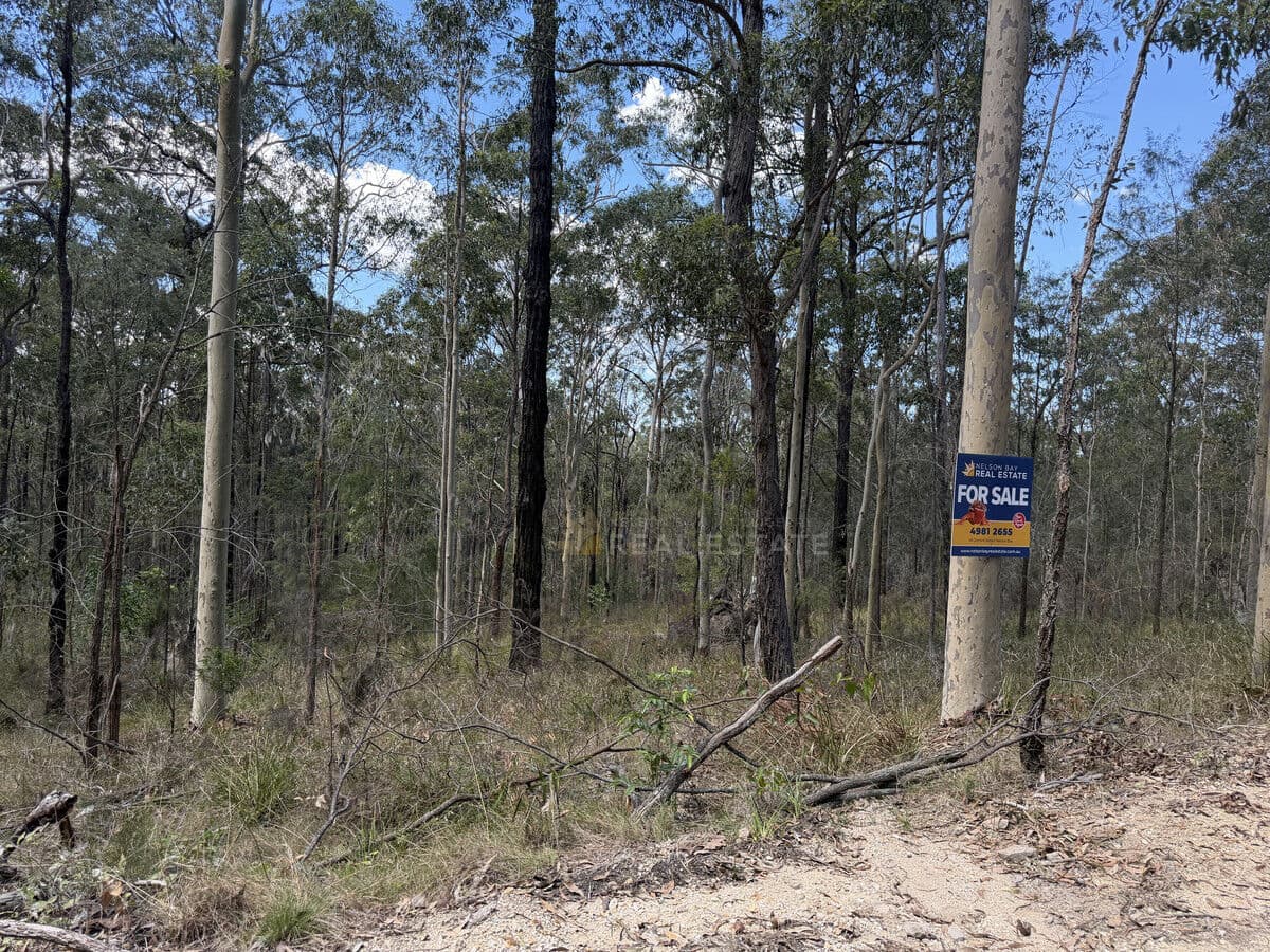 Lot 398 Tenterfield Road, North Arm Cove NSW 2324, North Arm Cove - Thumbnail 2