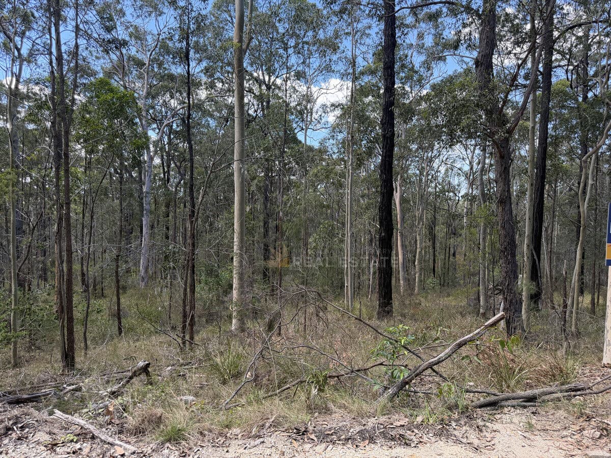 Lot 398 Tenterfield Road, North Arm Cove NSW 2324, North Arm Cove - Thumbnail 4
