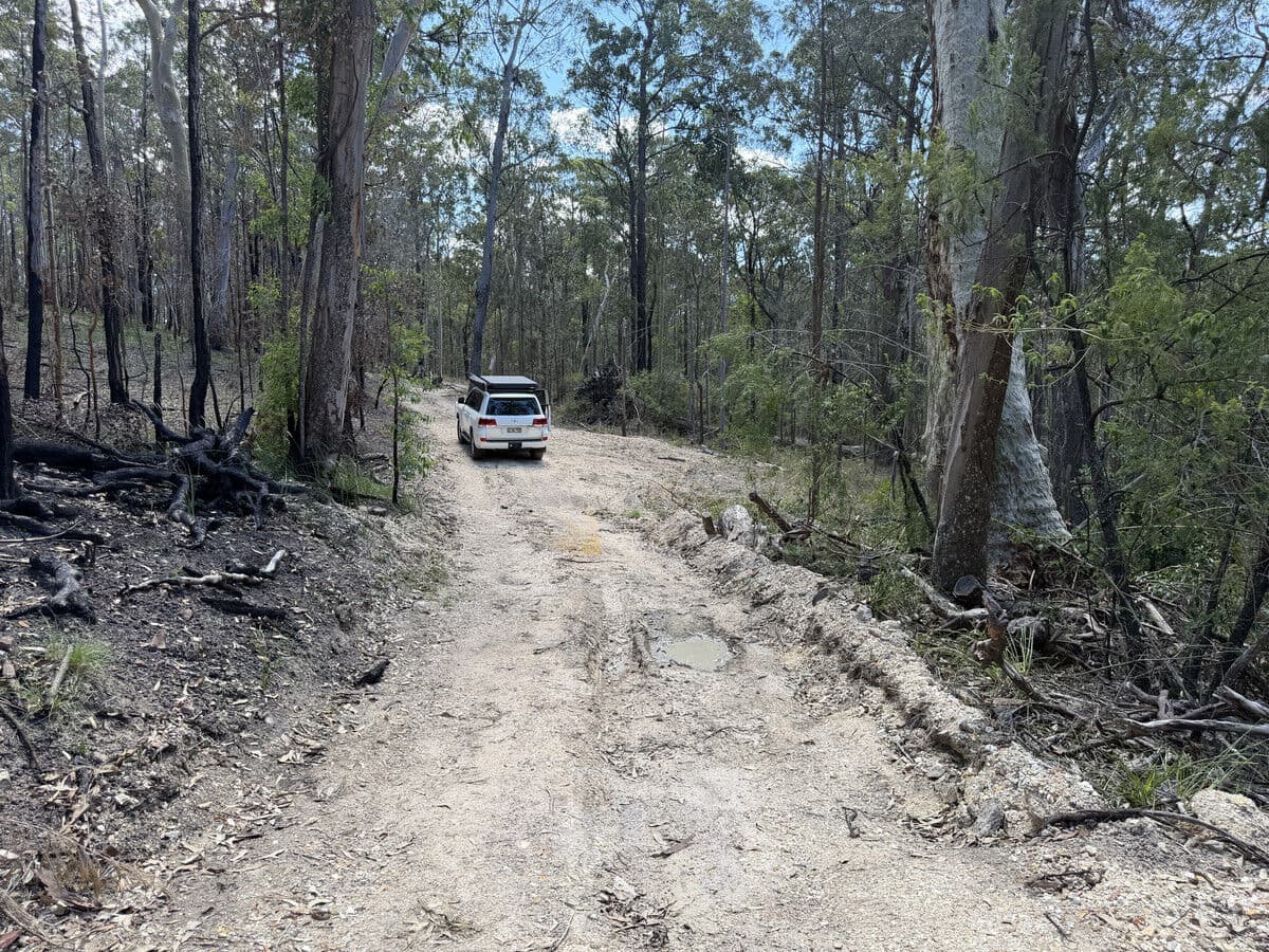 Lot 398 Tenterfield Road, North Arm Cove NSW 2324, North Arm Cove - Thumbnail 6