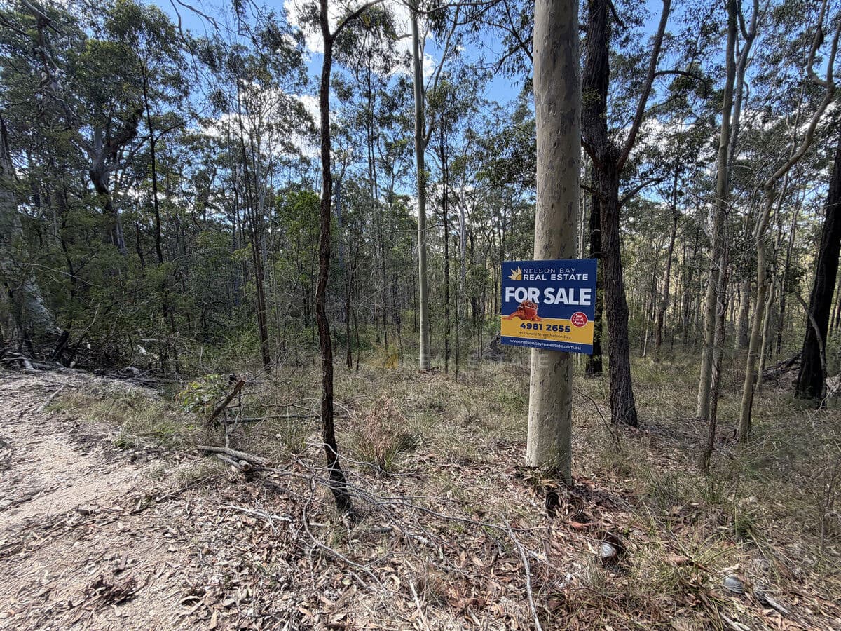 Lot 398 Tenterfield Road, North Arm Cove NSW 2324, North Arm Cove - Thumbnail 8