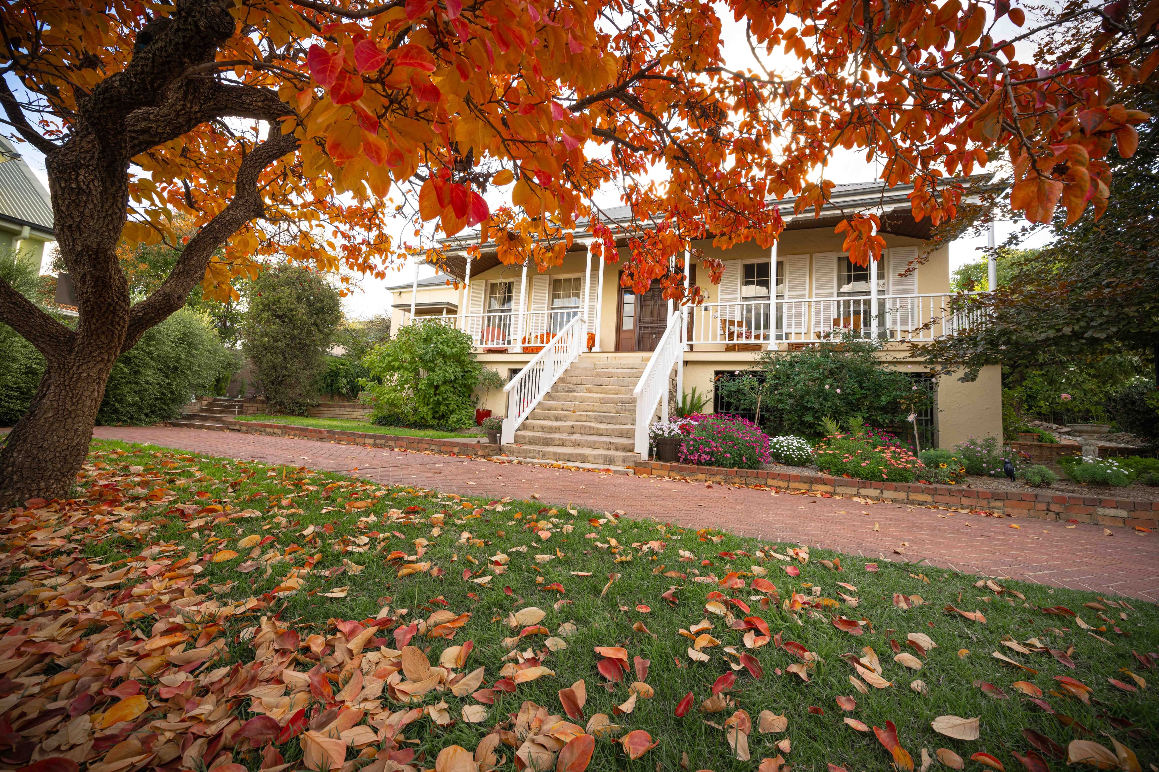 1A Shepherds Court, Goulburn NSW 2580, Goulburn - Image 1