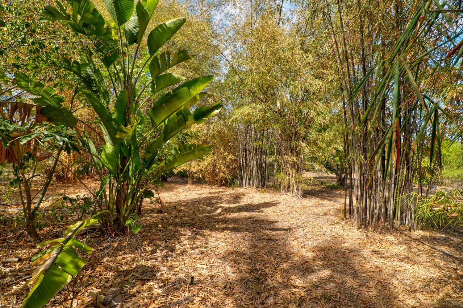 53 West View Cresent, Prenzlau QLD 4311, Prenzlau - Thumbnail 6
