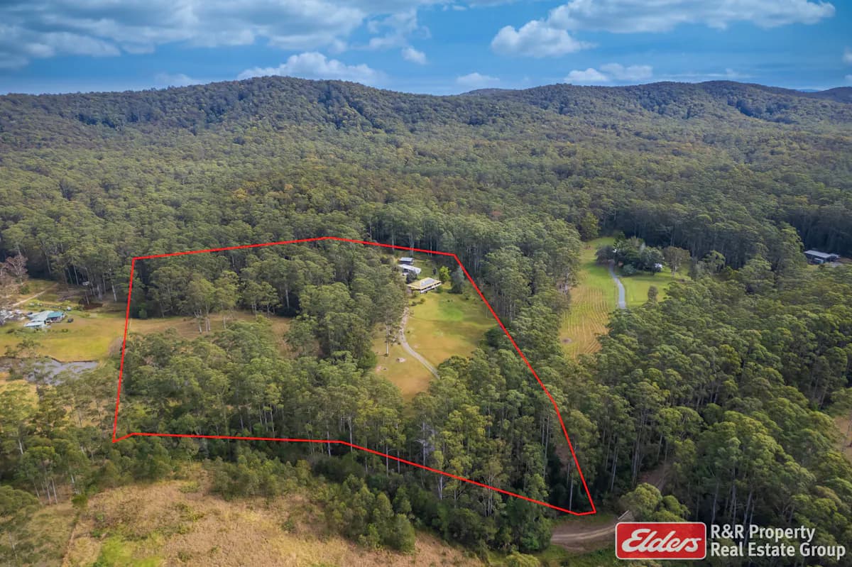 646 Newmans Road, Wootton, NSW, 2423, Wootton - Thumbnail 2