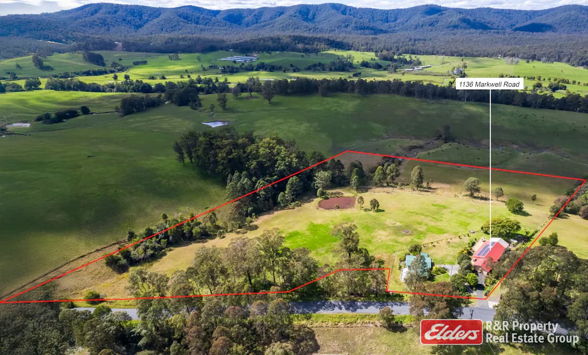 1136 Markwell Road, Markwell, NSW, 2423, Markwell - Image 1