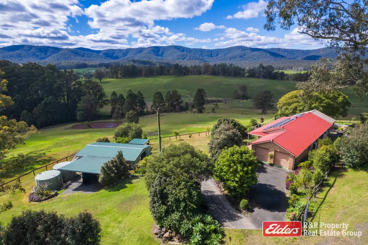 1136 Markwell Road, Markwell, NSW, 2423, Markwell - Thumbnail 4