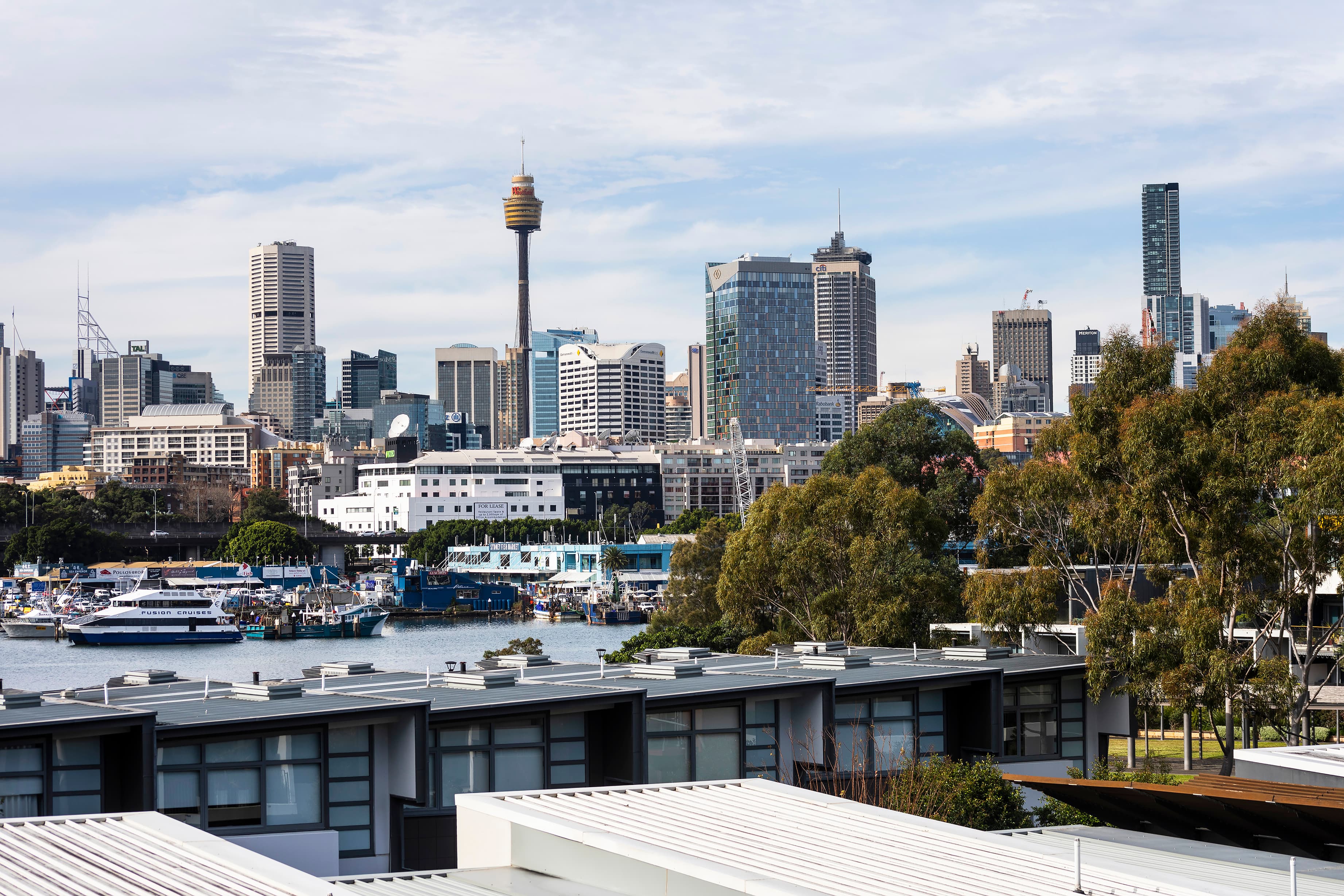 323/14 Griffin Place, Glebe - Thumbnail 3