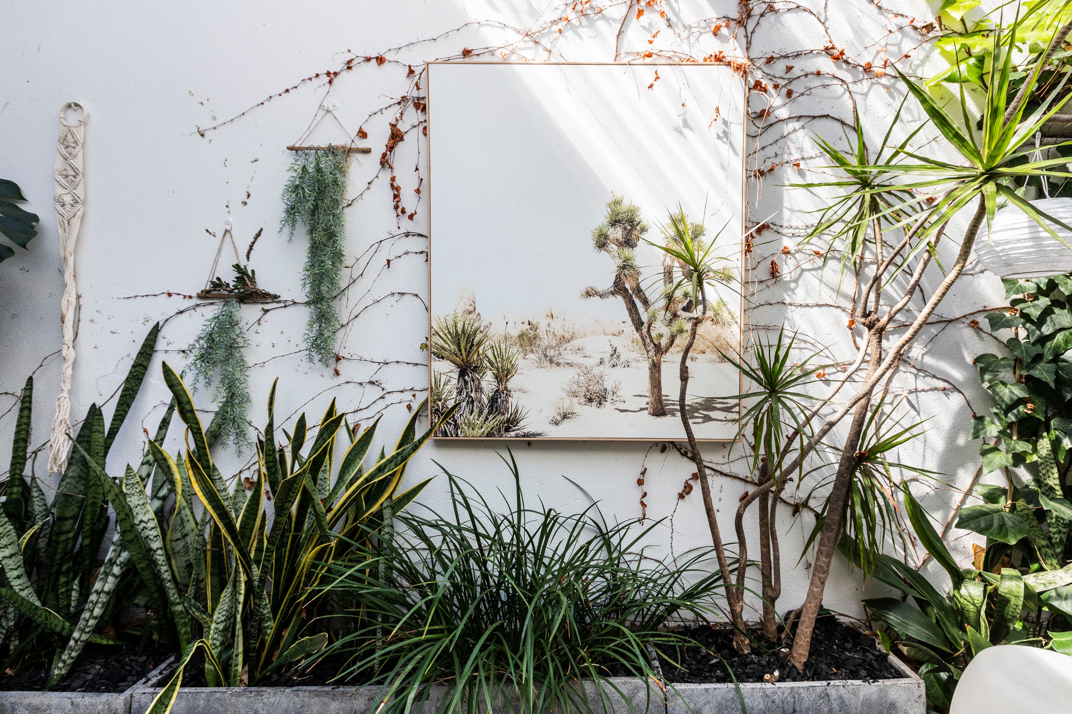 25 Goodchap Street, Surry Hills - Thumbnail 3