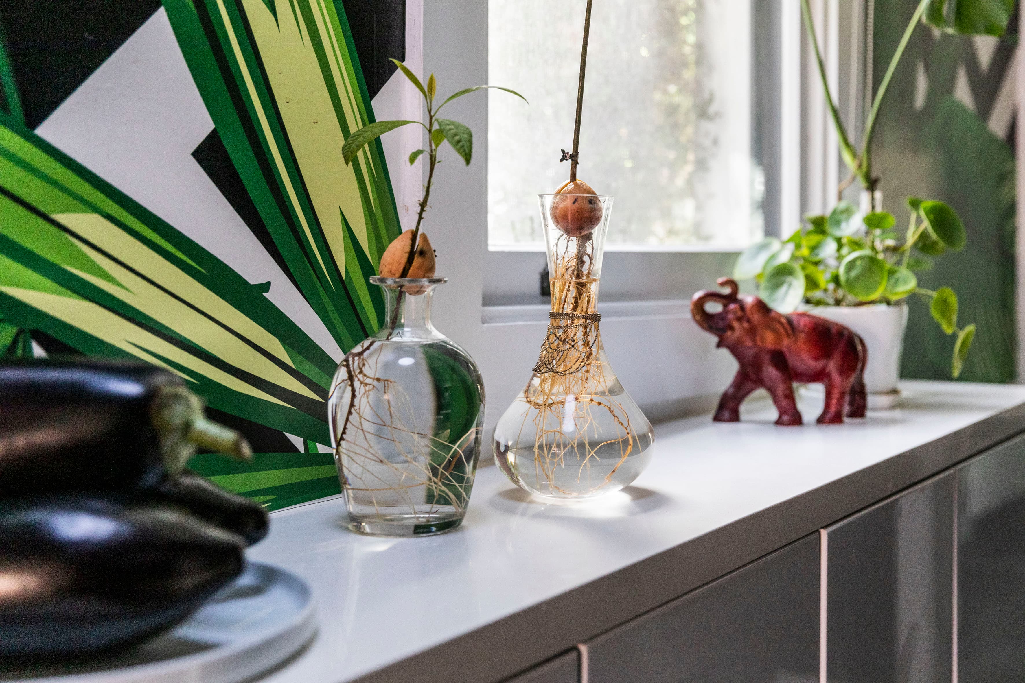 25 Goodchap Street, Surry Hills - Thumbnail 6