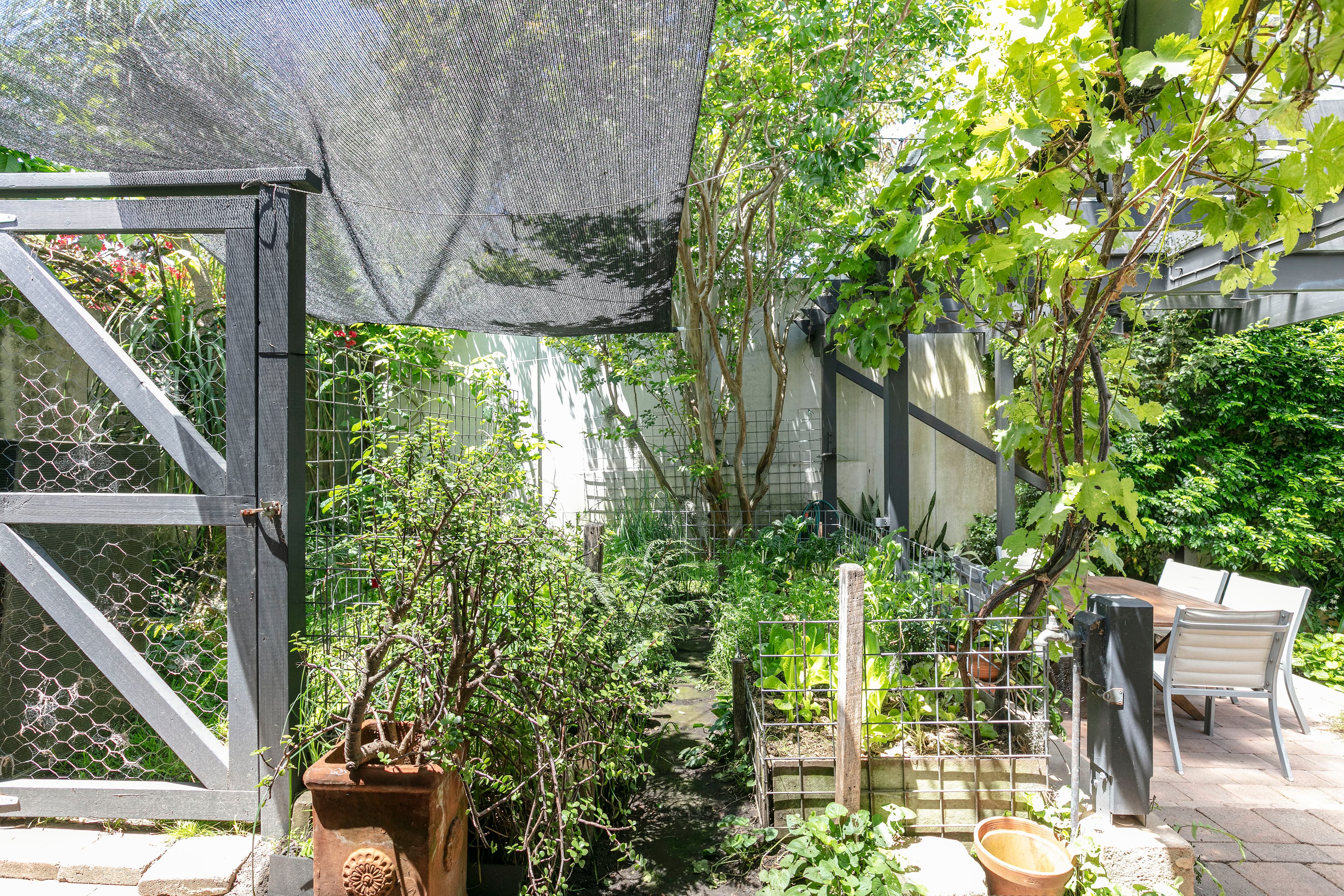 21 Theodore Street, Balmain - Thumbnail 8