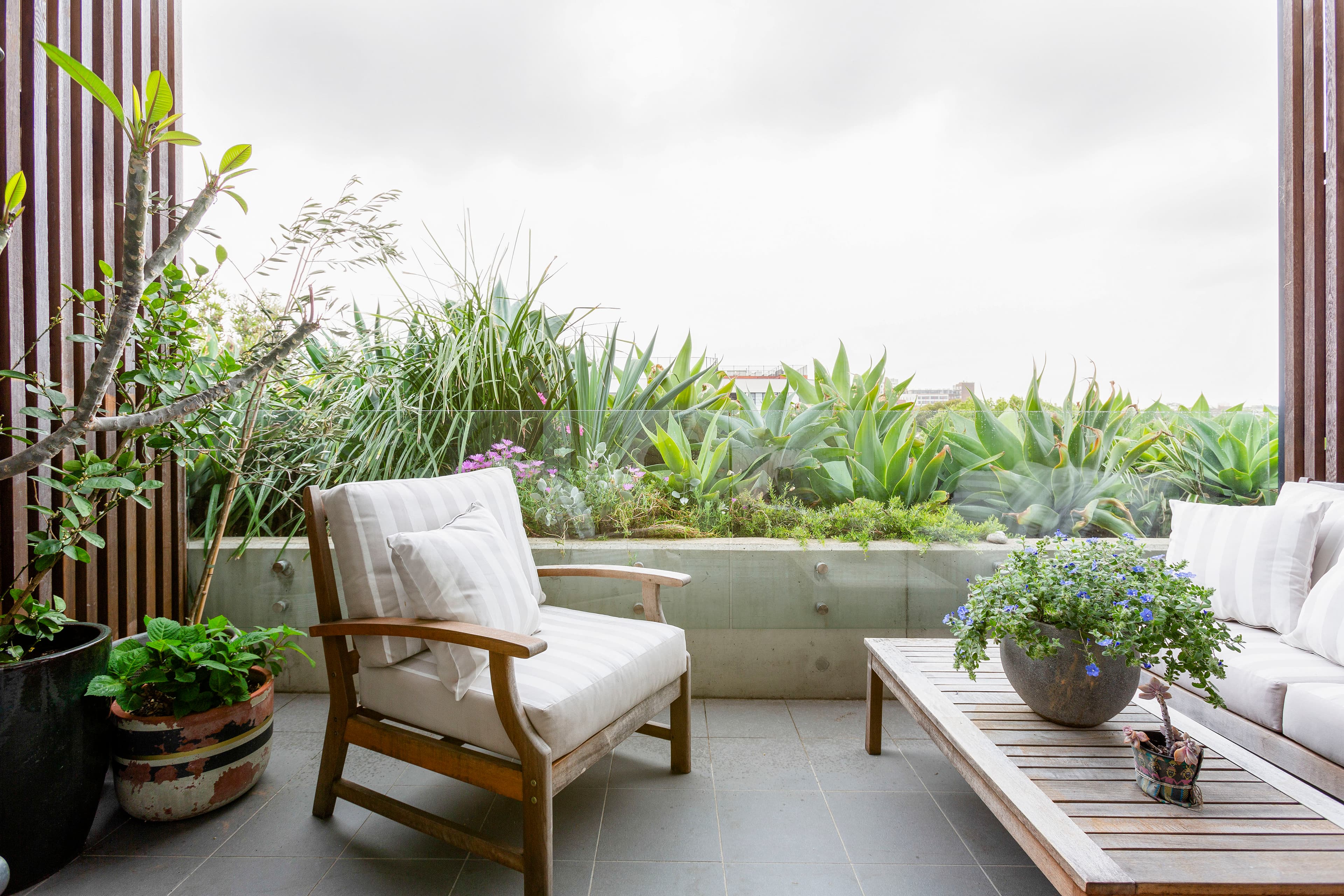505/38 Waterloo Street, Surry Hills - Image 1