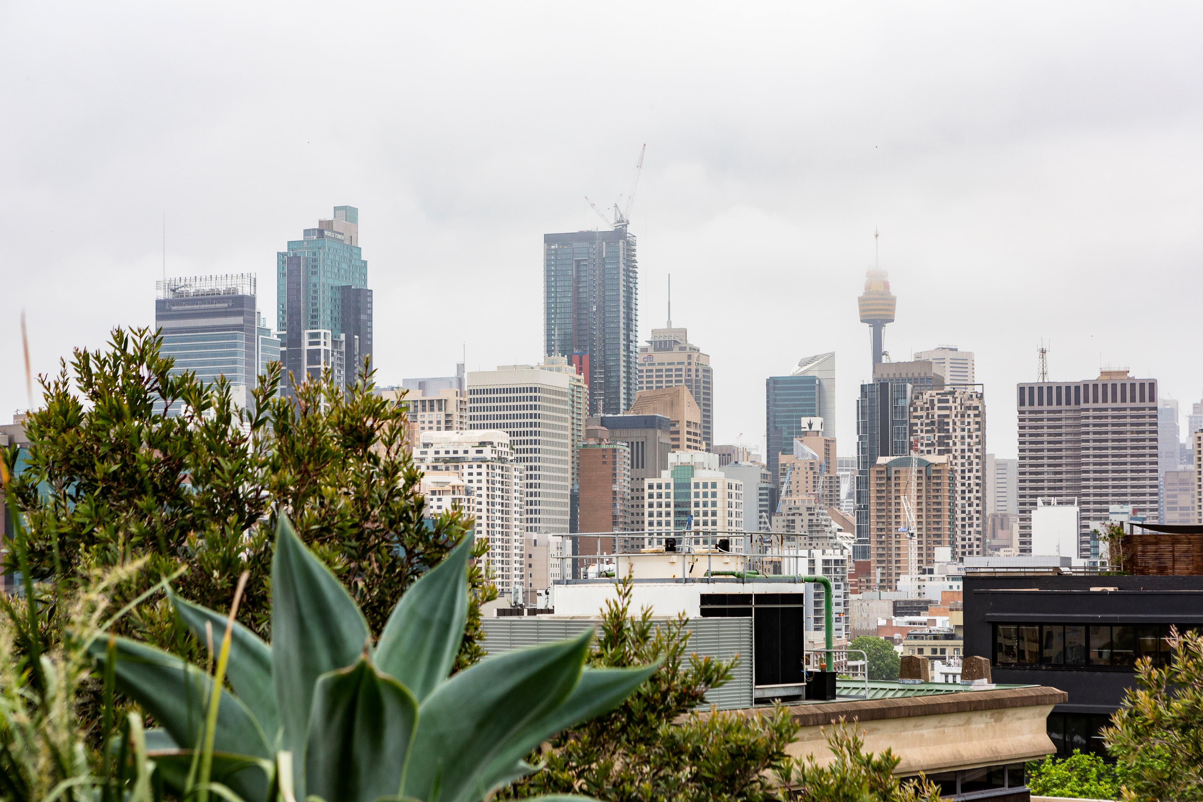 505/38 Waterloo Street, Surry Hills - Thumbnail 6