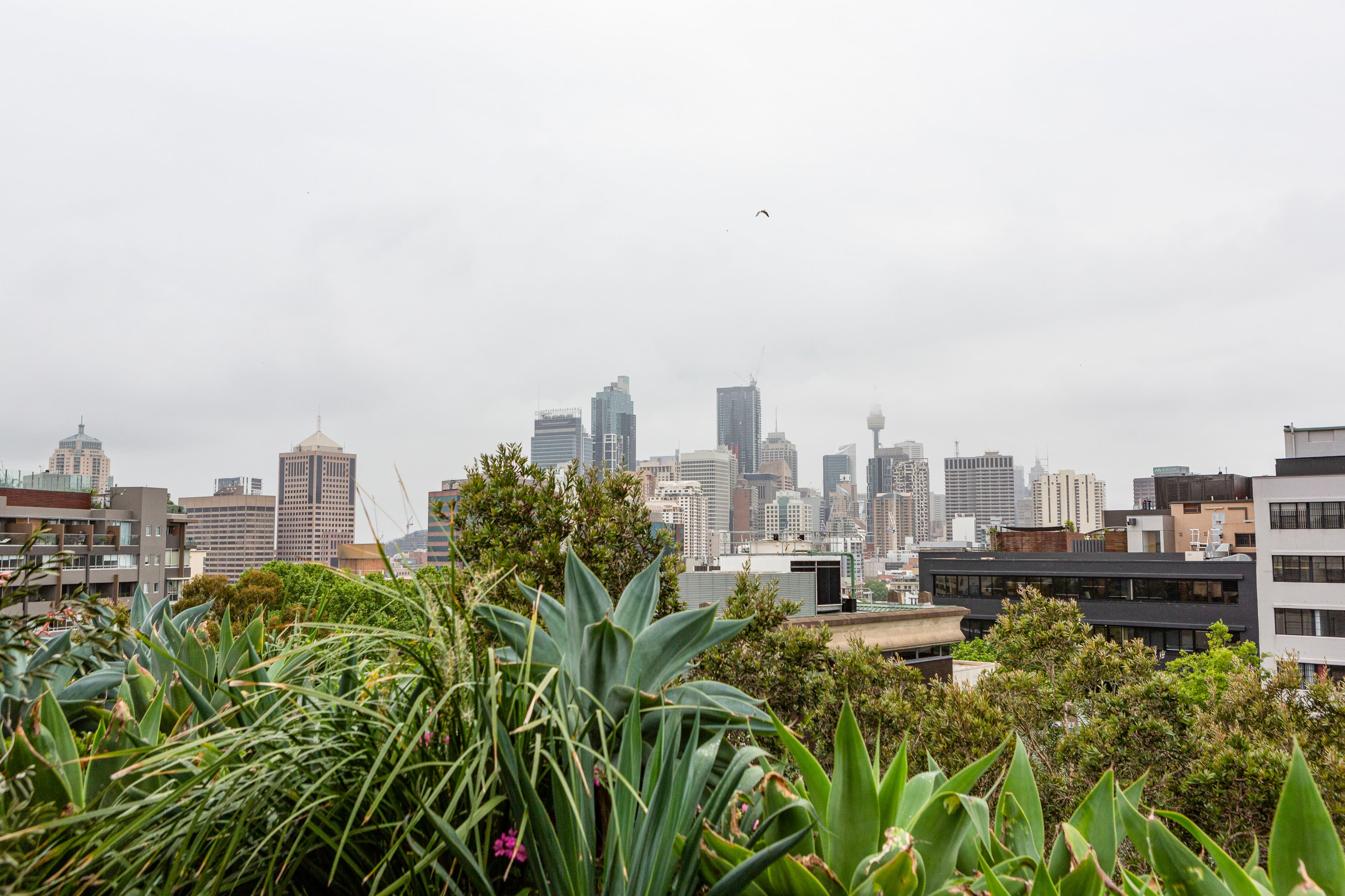 505/38 Waterloo Street, Surry Hills - Thumbnail 7