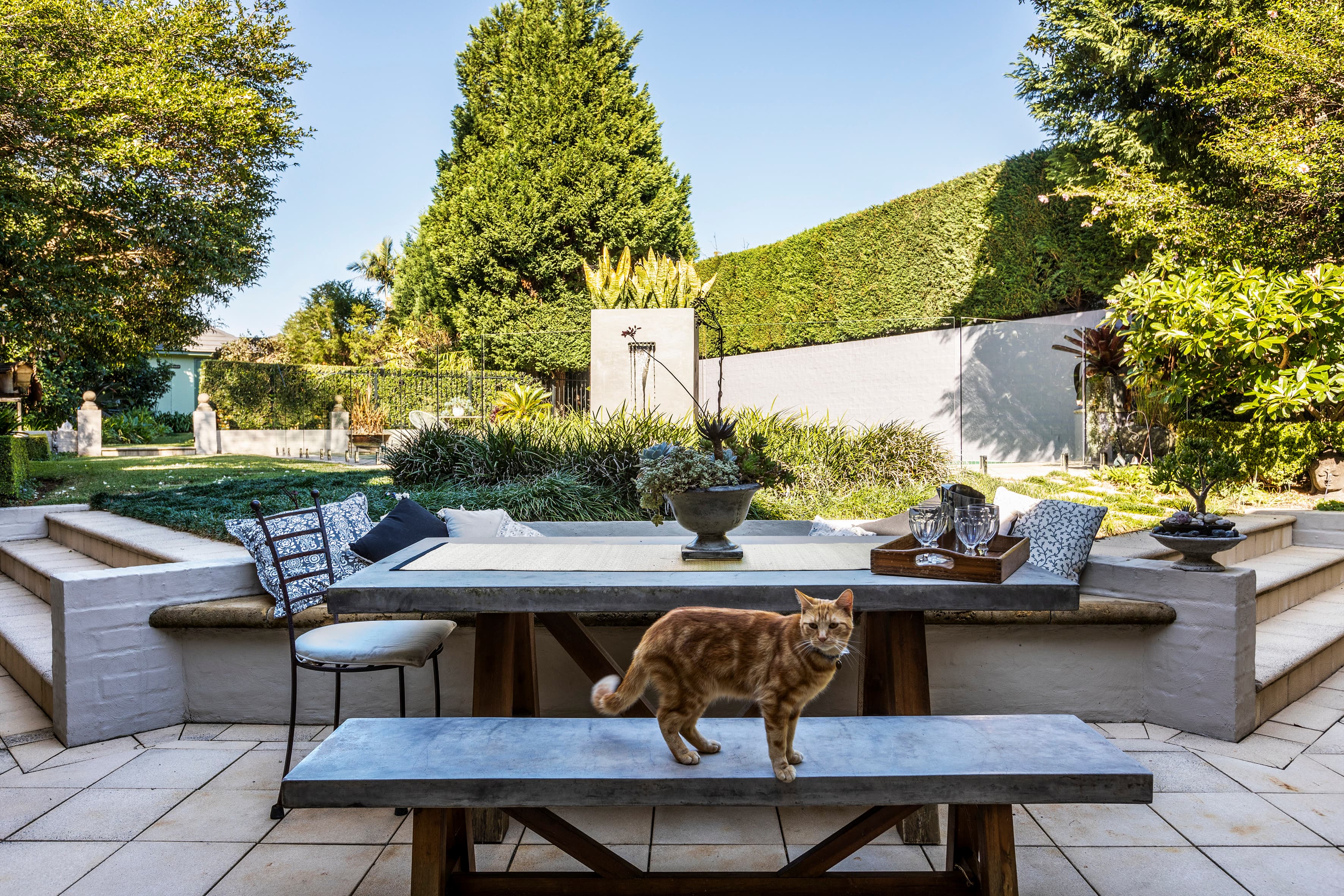 13 Barons Crescent, Hunters Hill - Thumbnail 3
