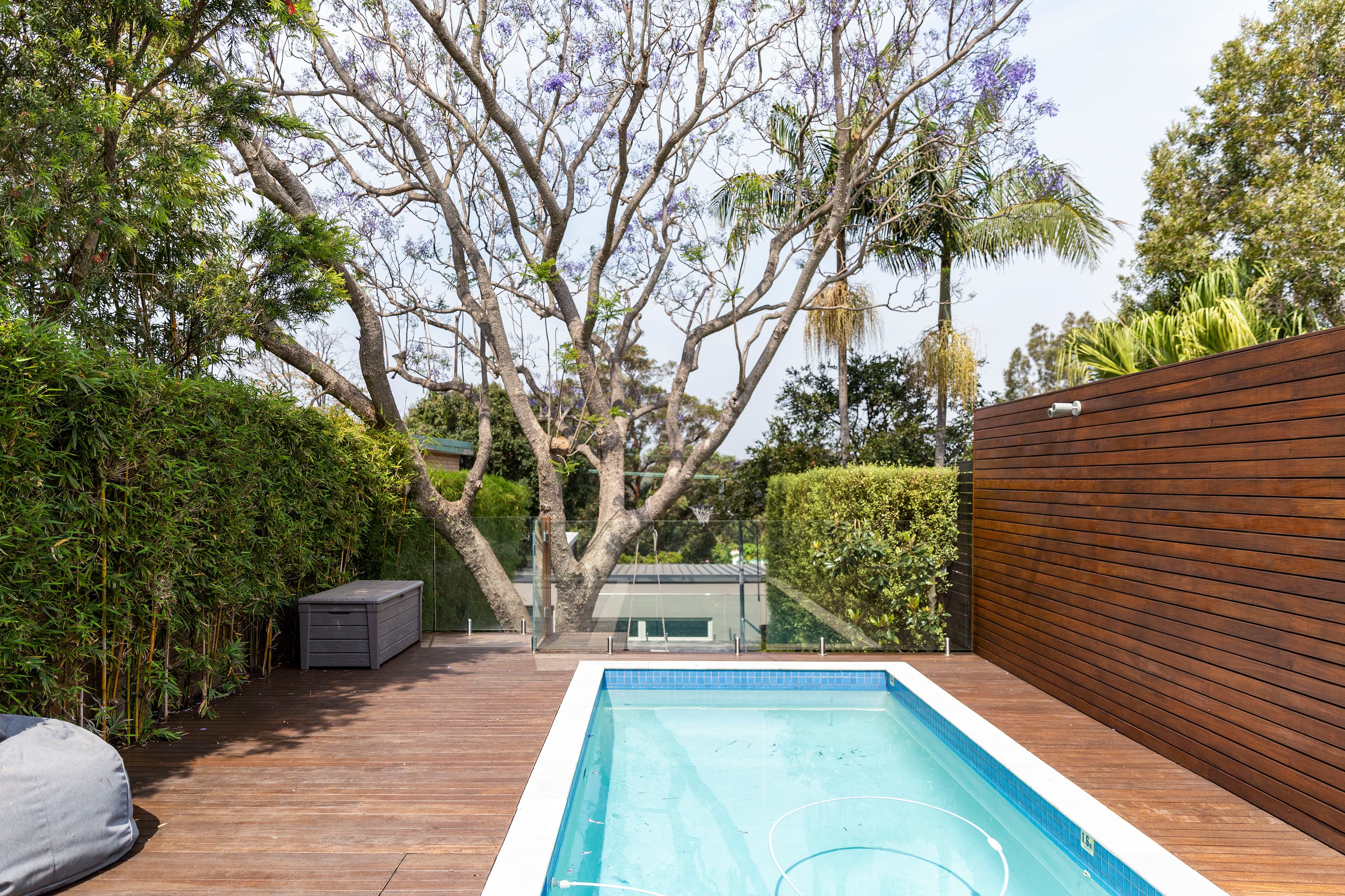 219 Trafalgar Street, Annandale - Thumbnail 5